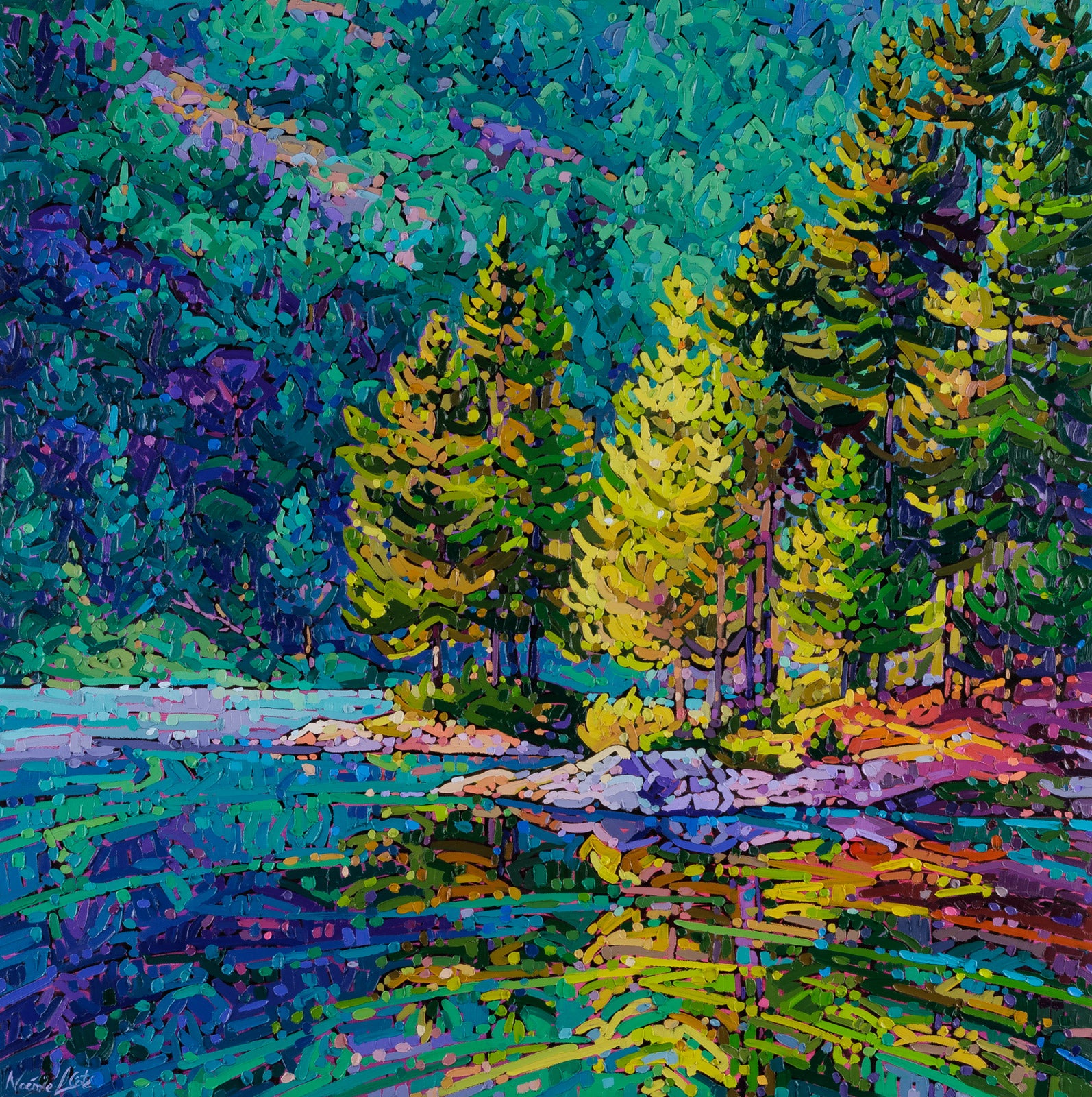 Morning Light Among The Trees