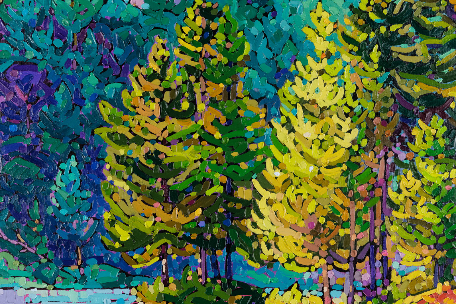 Morning Light Among The Trees