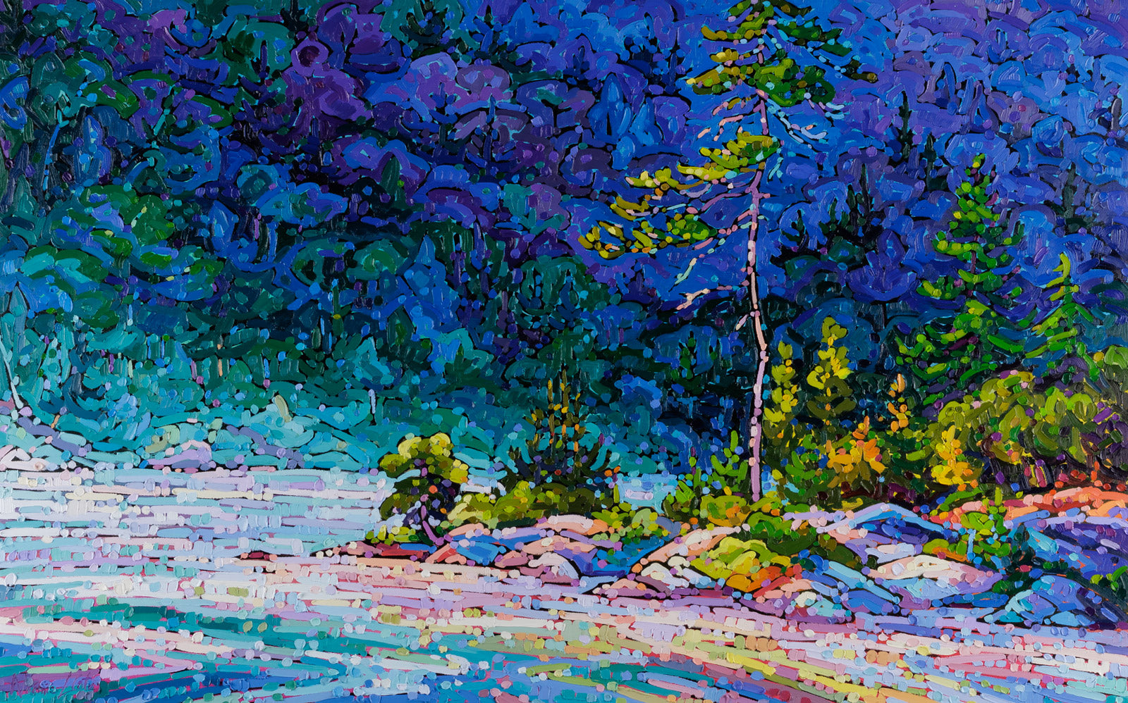Wilderness Awakens