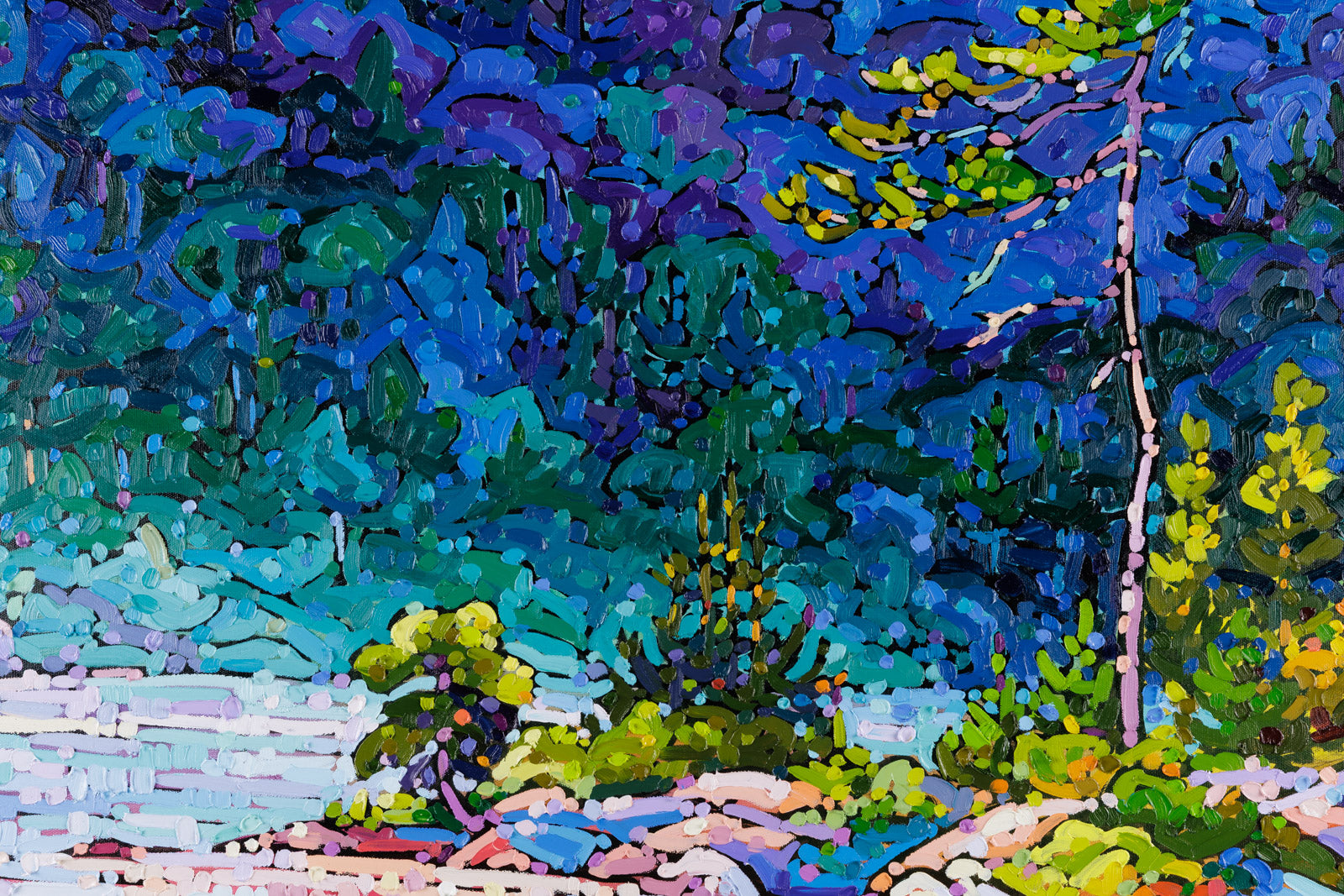 Wilderness Awakens