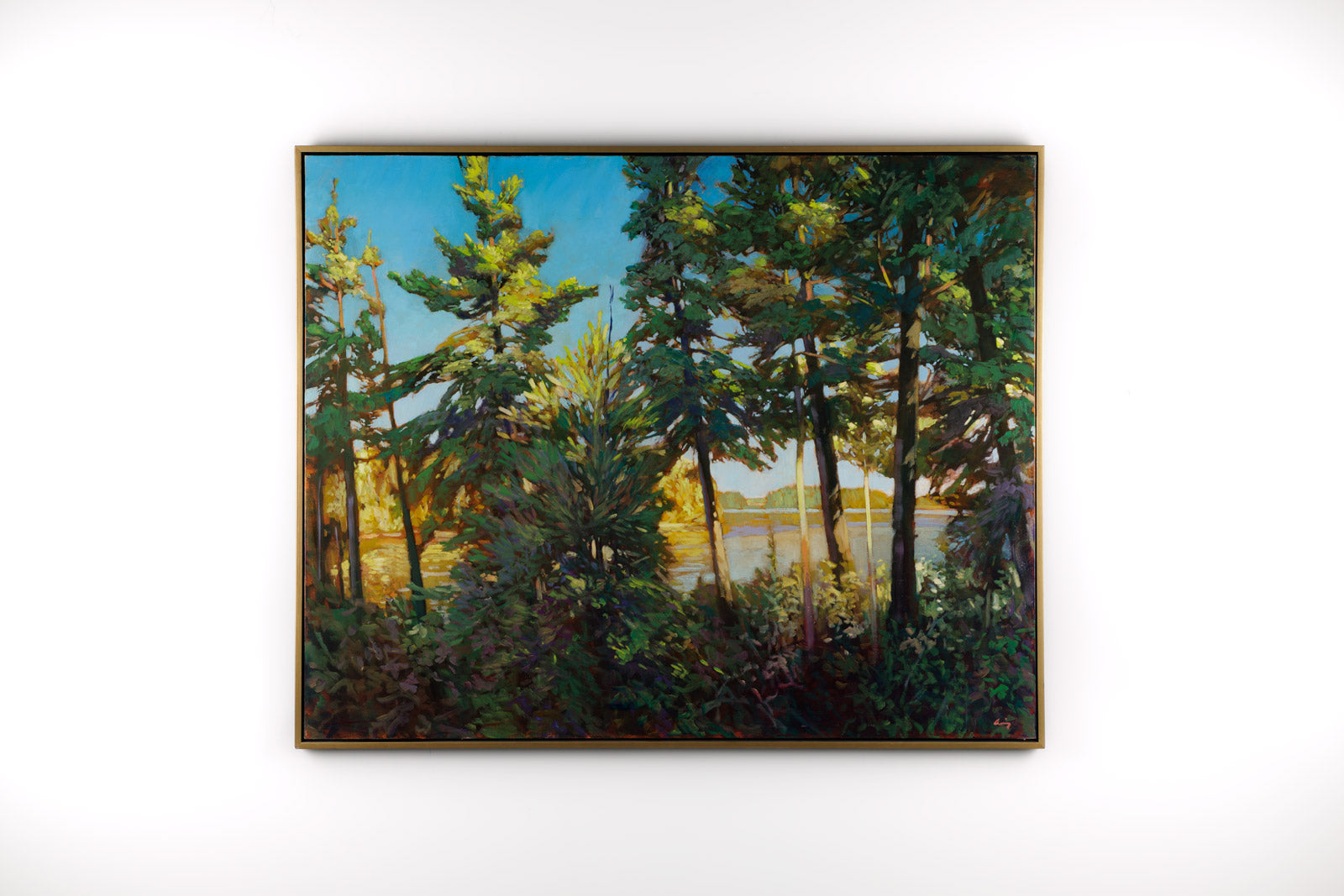 Light Through The Trees
