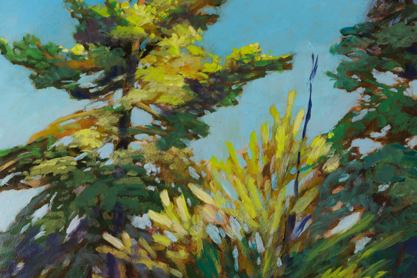 Light Through The Trees