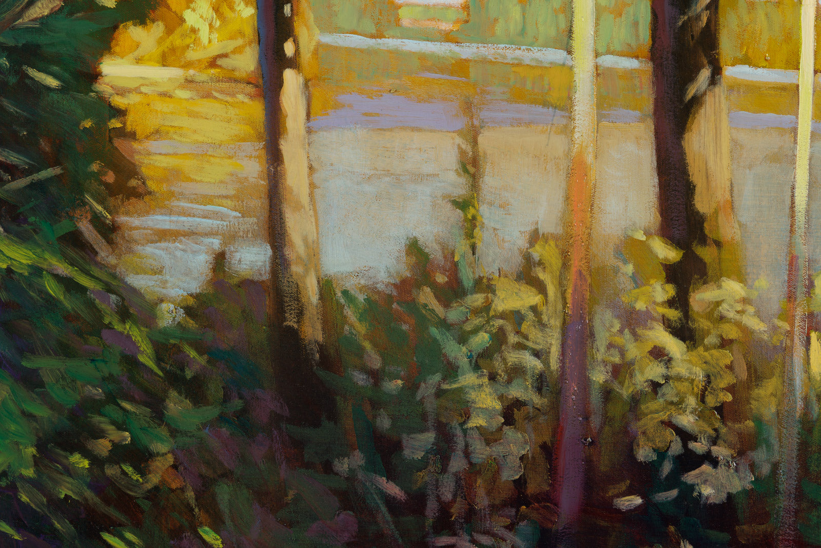 Light Through The Trees