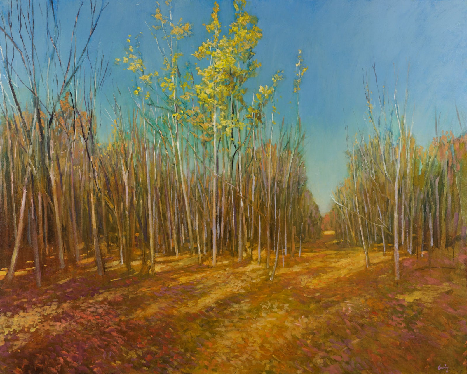 Birch Stand