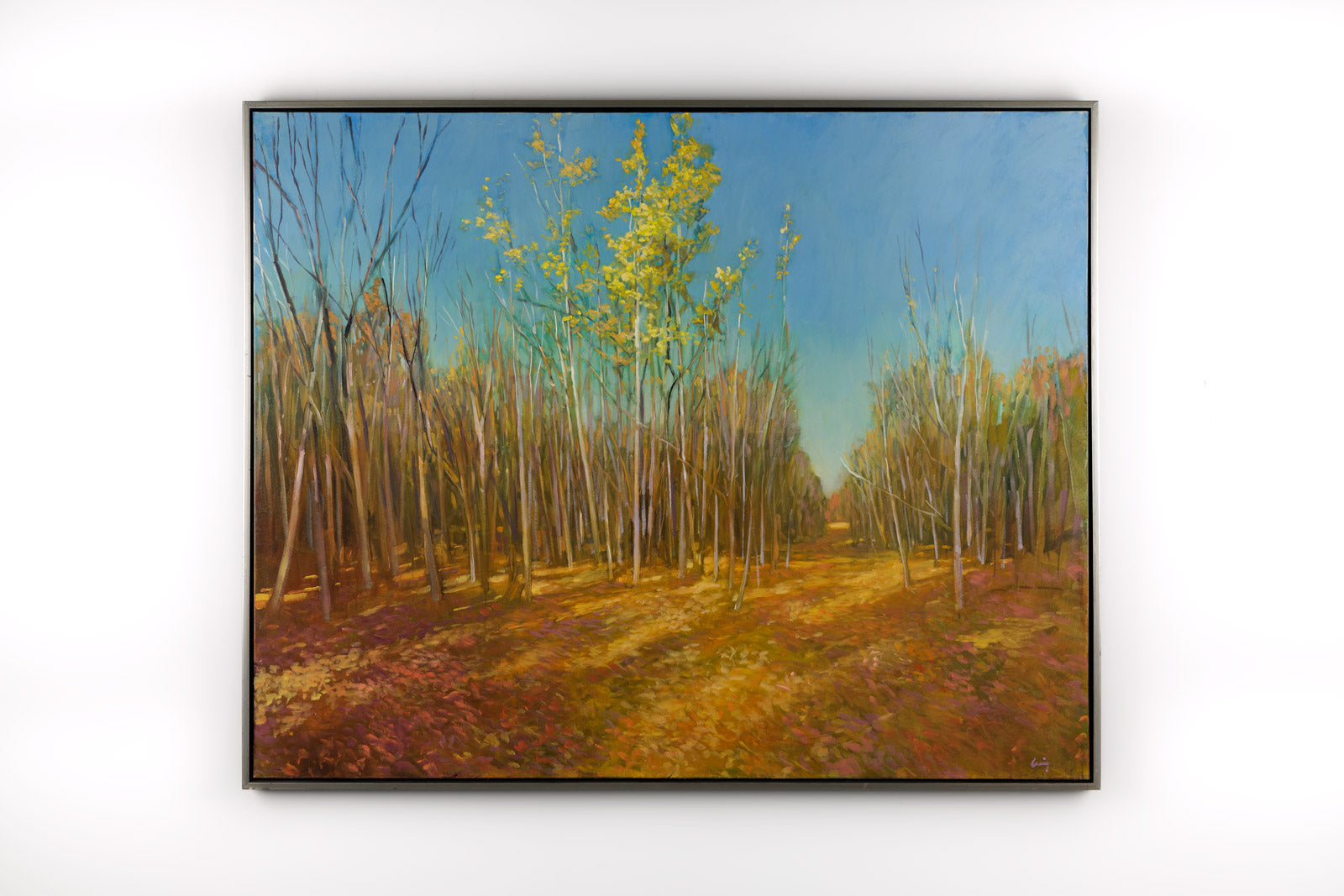 Birch Stand
