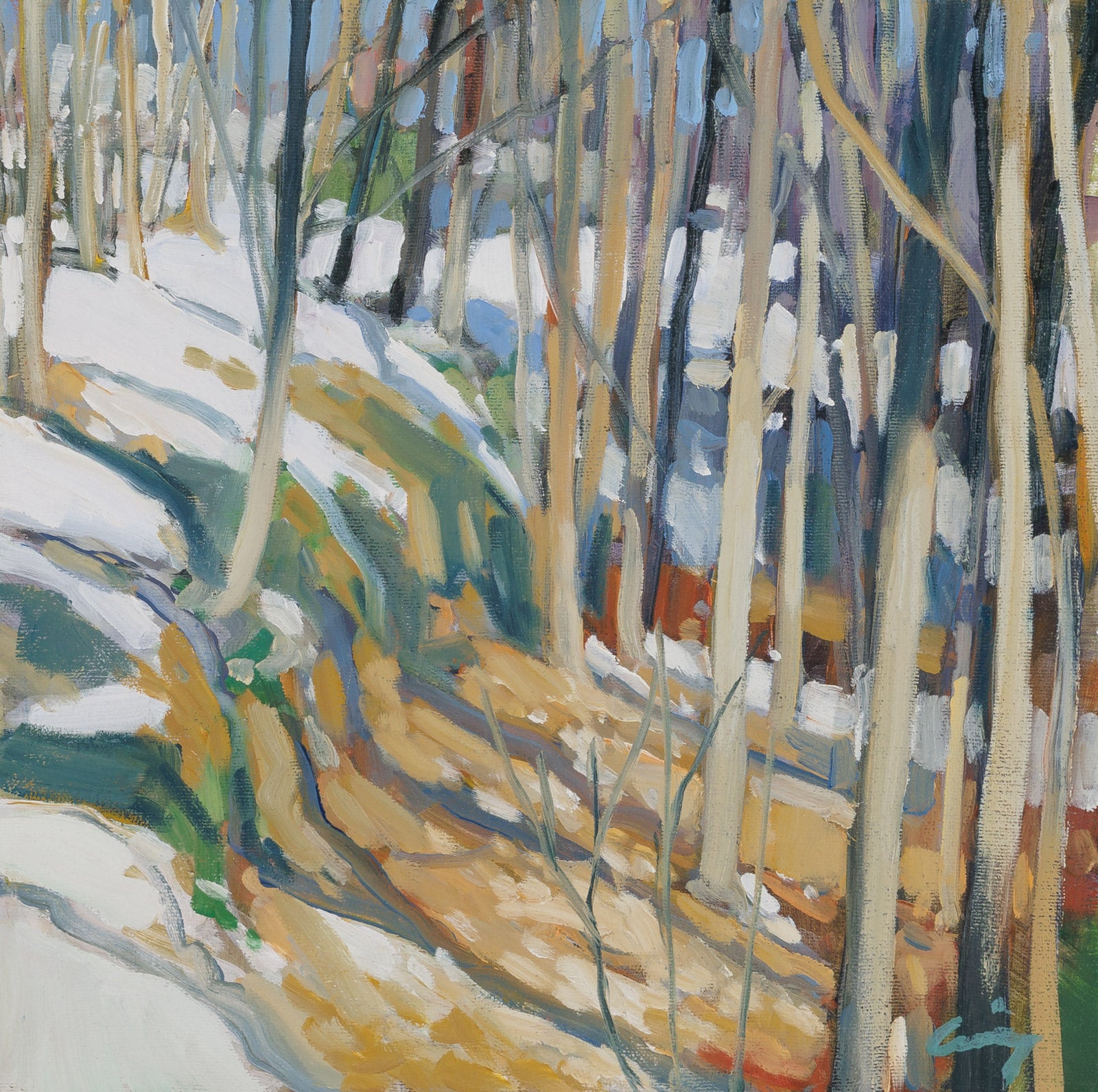 Rockside With Snow