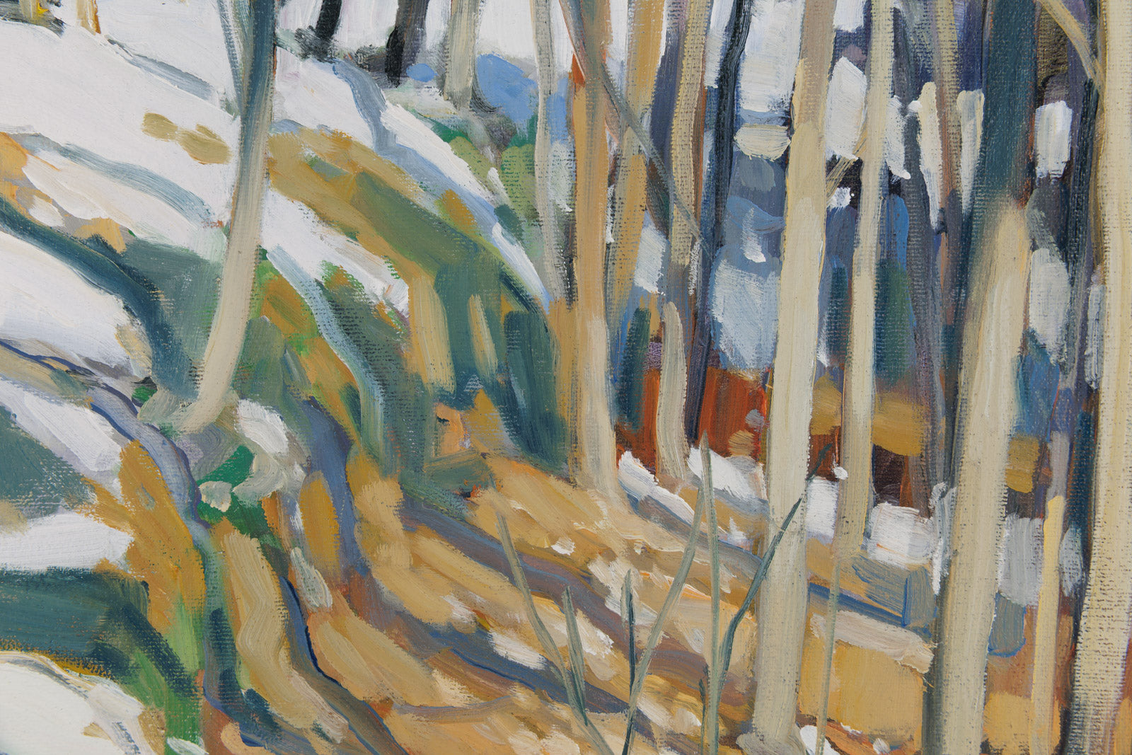 Rockside With Snow