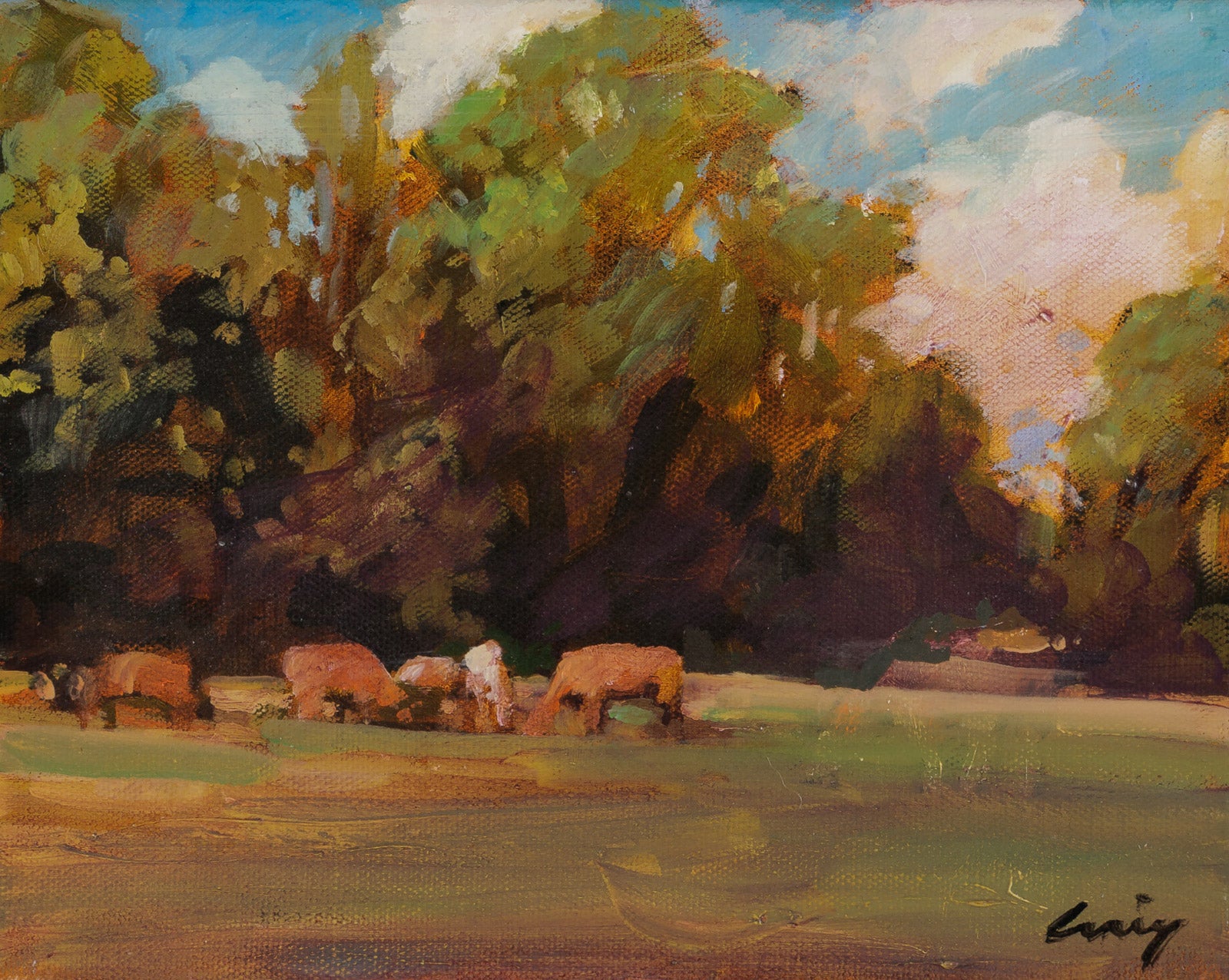 Cows Grazing