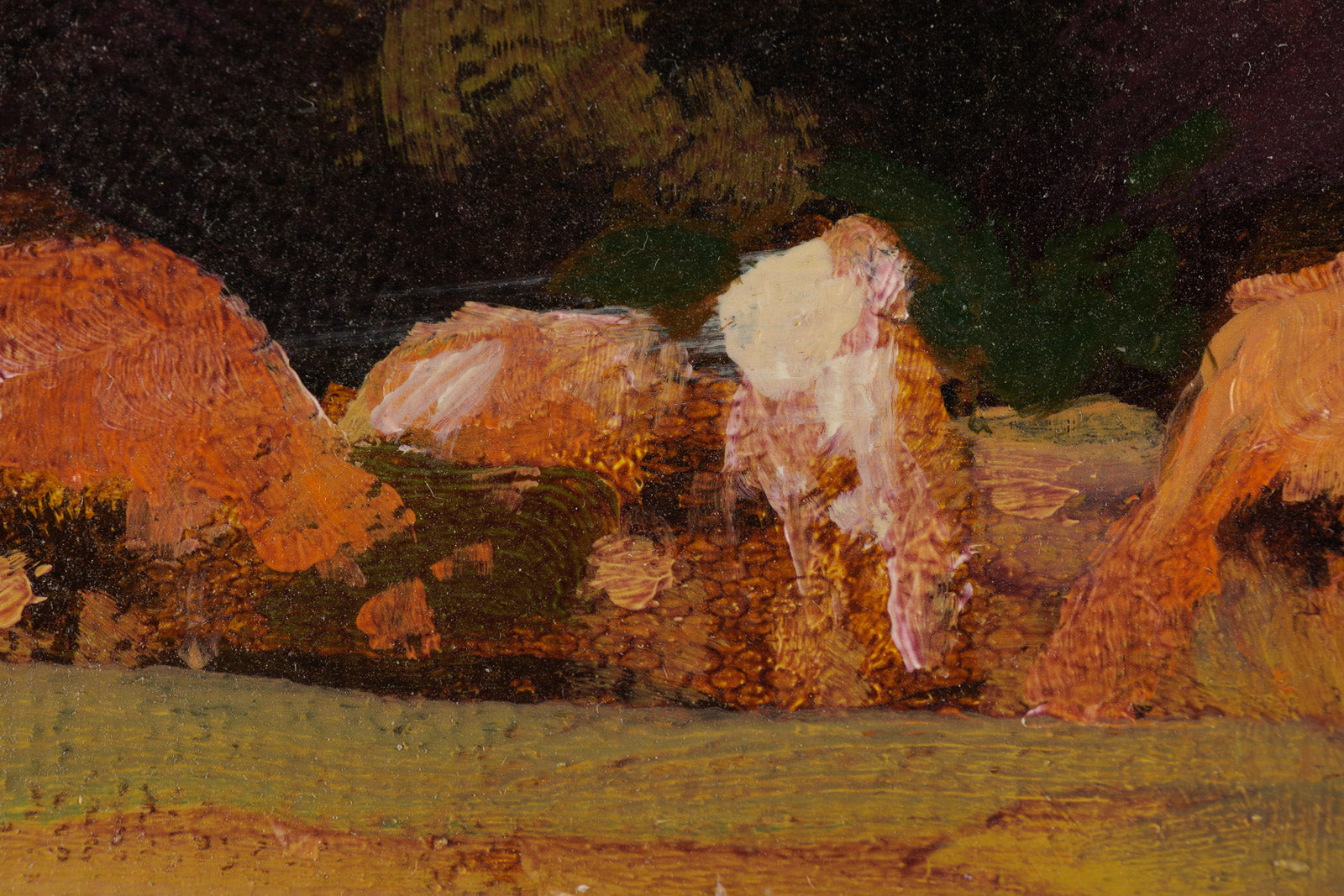 Cows Grazing
