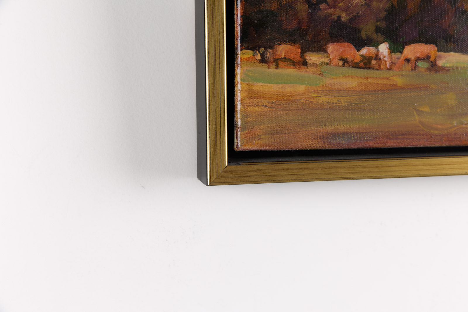 Cows Grazing