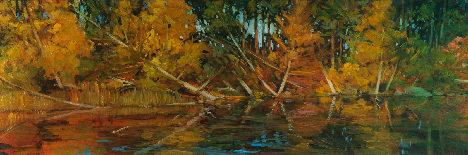 Shoreline