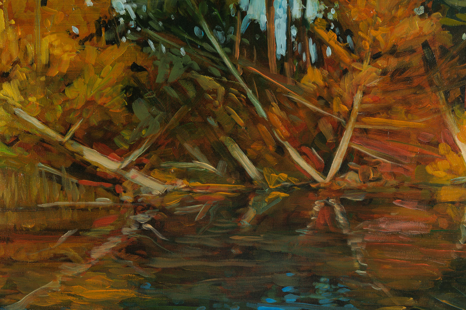 Shoreline