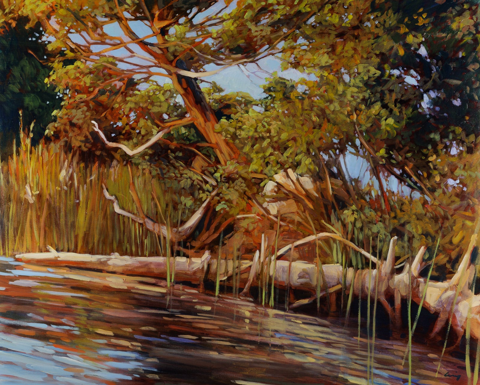 Windswept Trees, Otter Lake