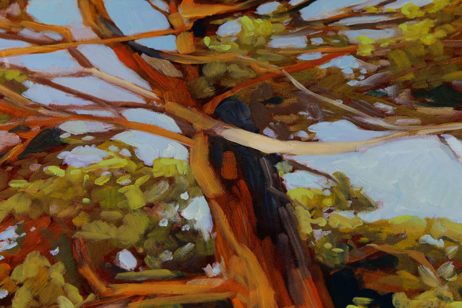 Windswept Trees, Otter Lake