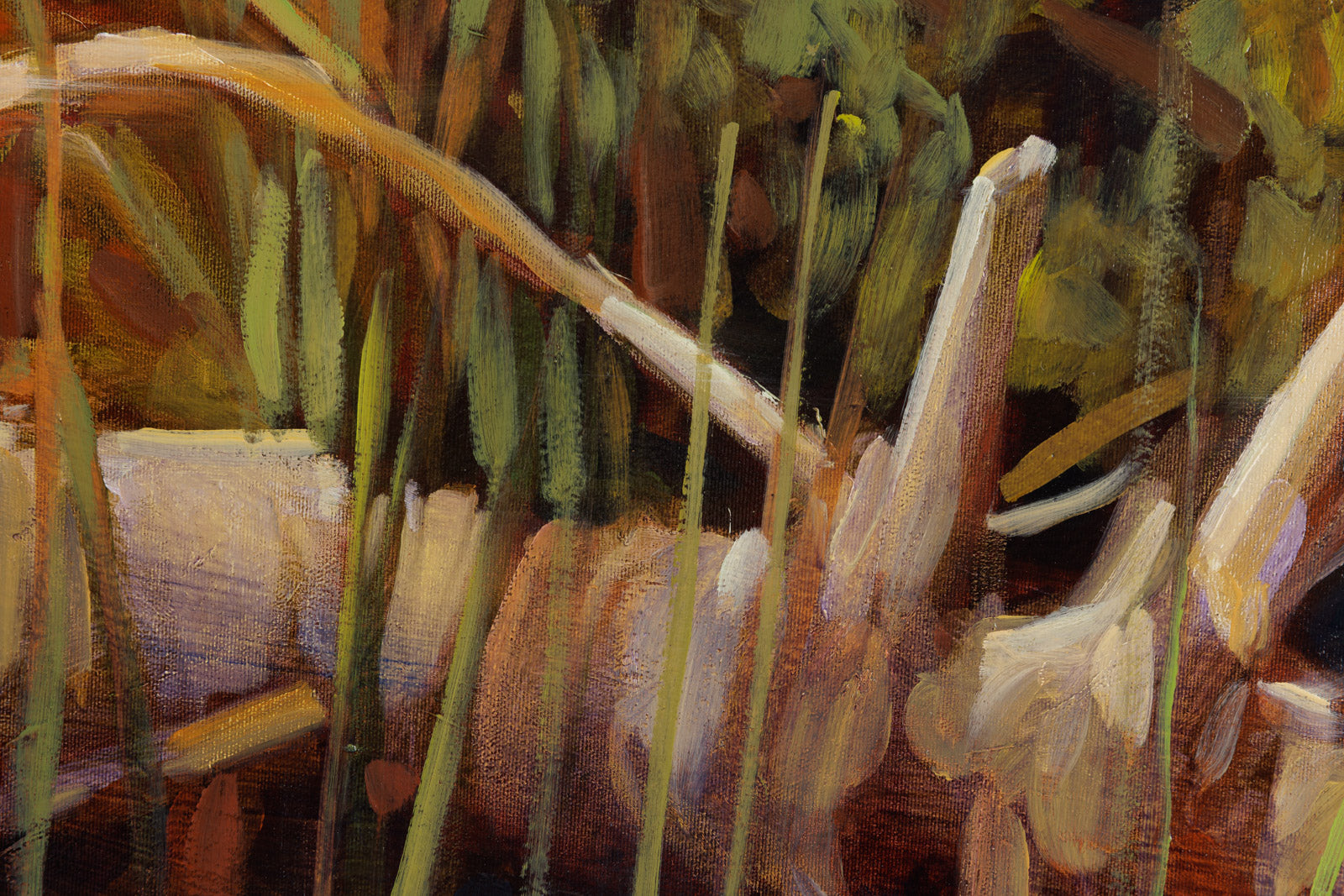 Windswept Trees, Otter Lake