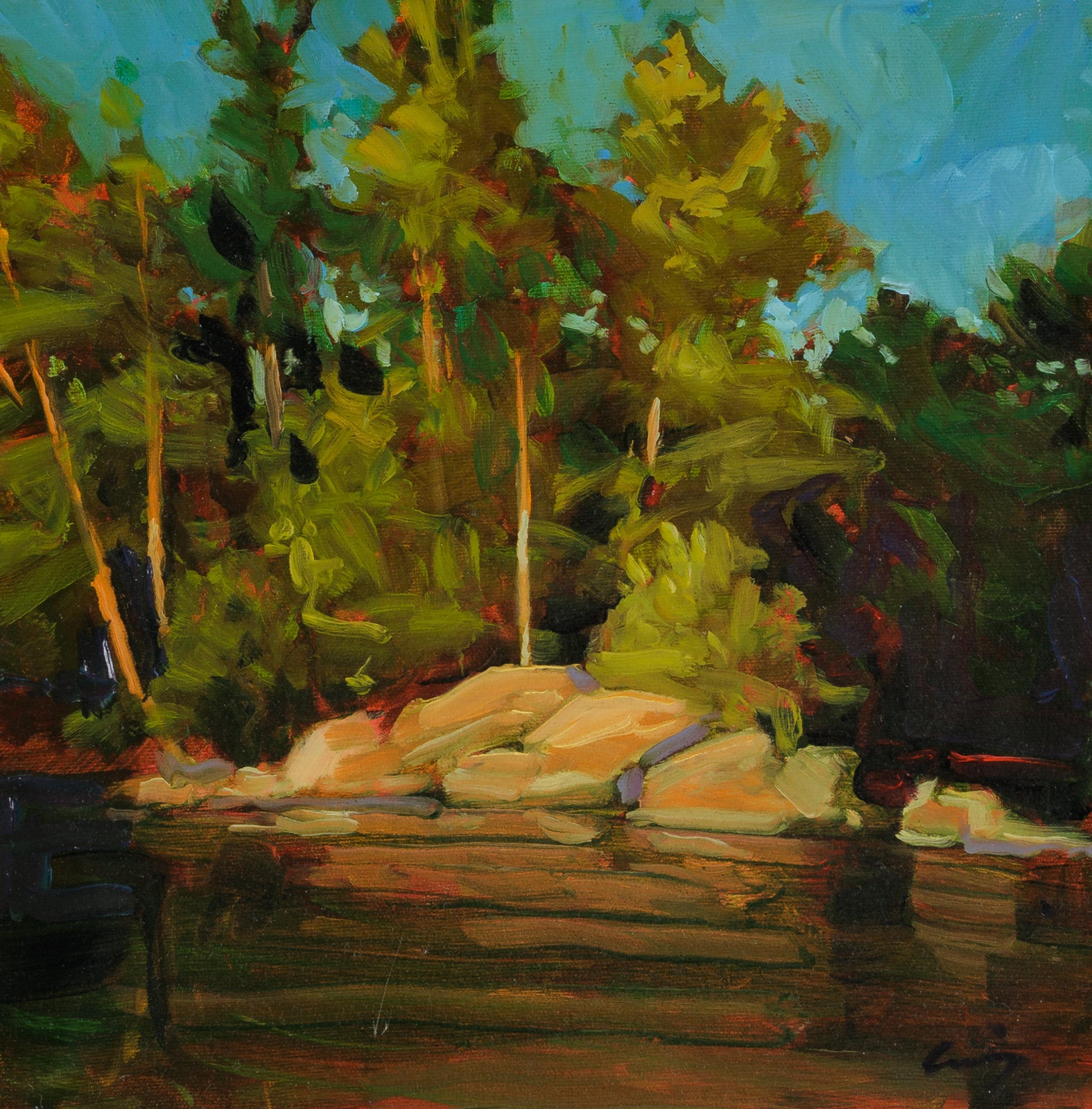 Rocky Shoreline