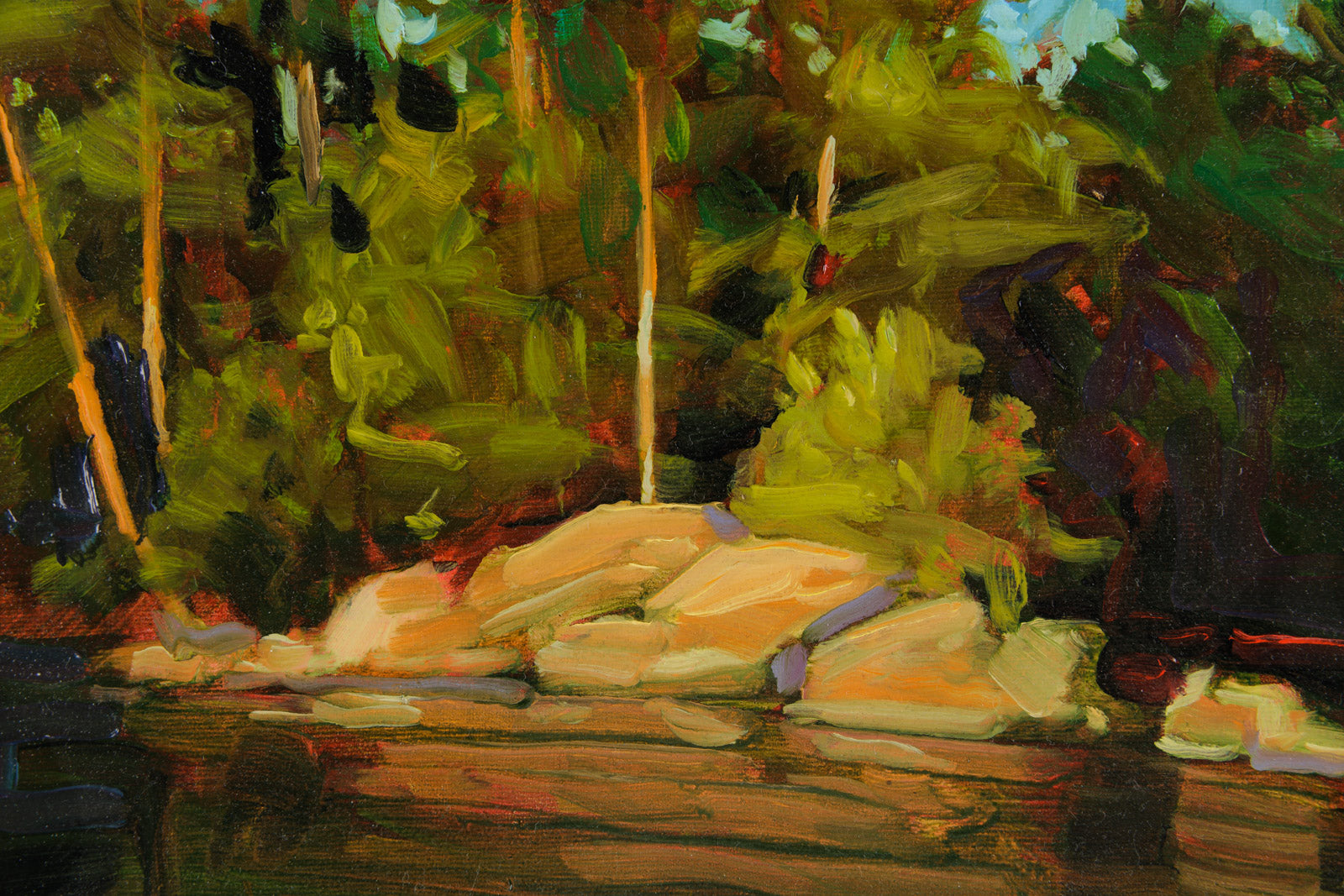 Rocky Shoreline