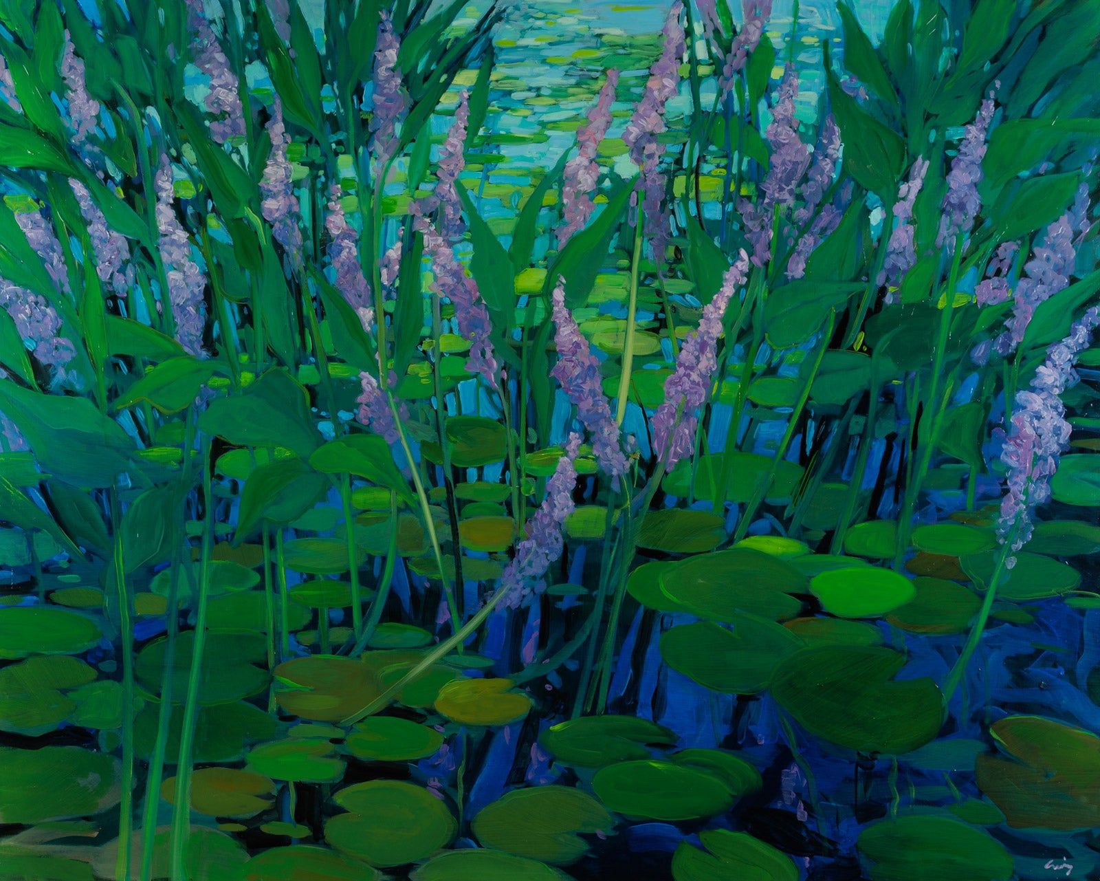 Purple Waterlilies