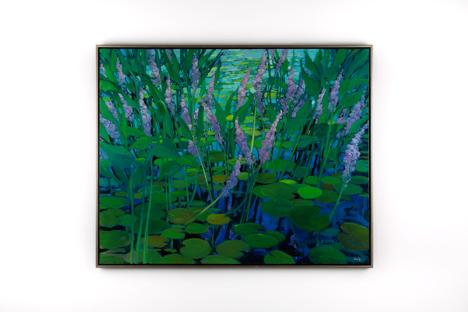 Purple Waterlilies