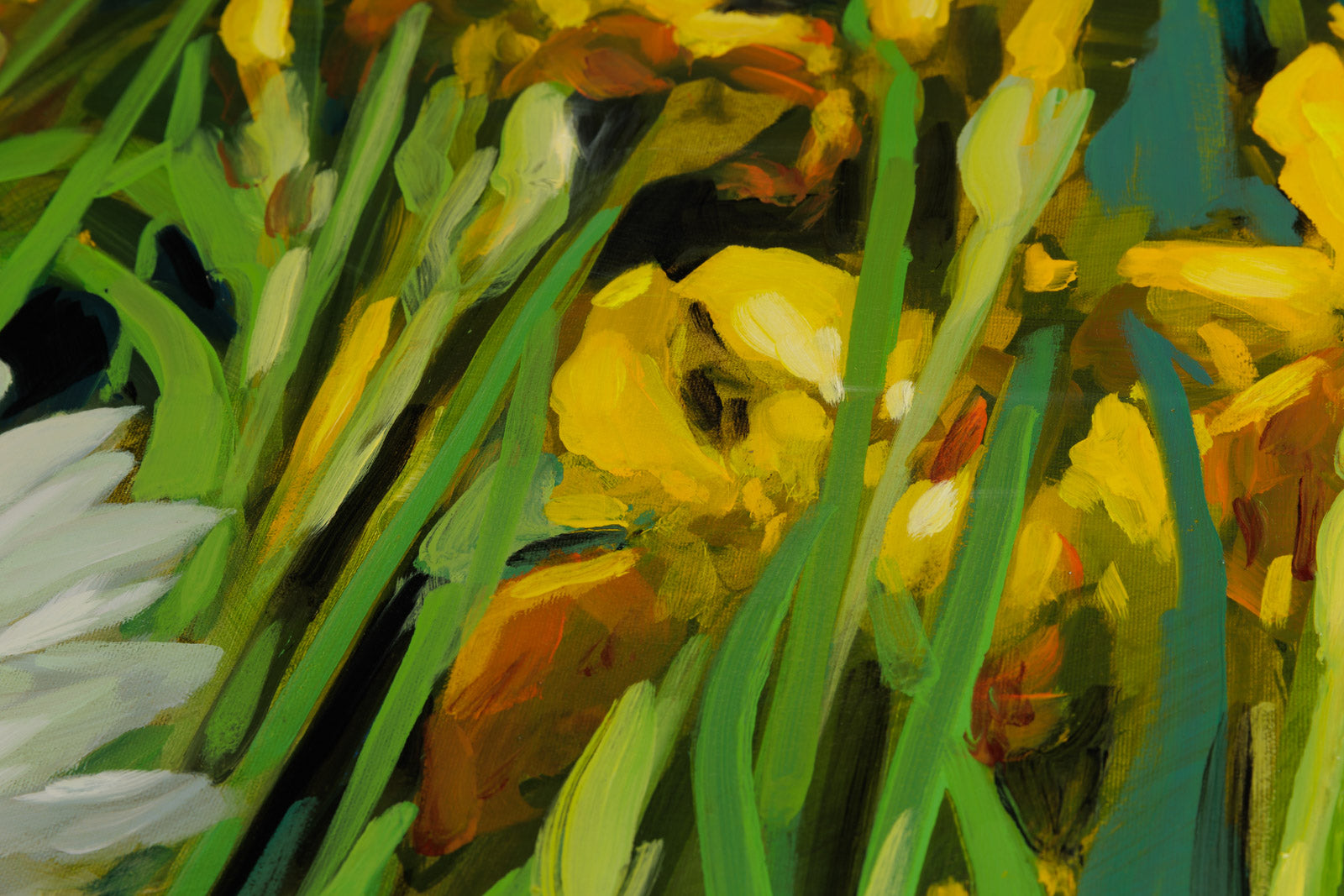 Sunset Iris