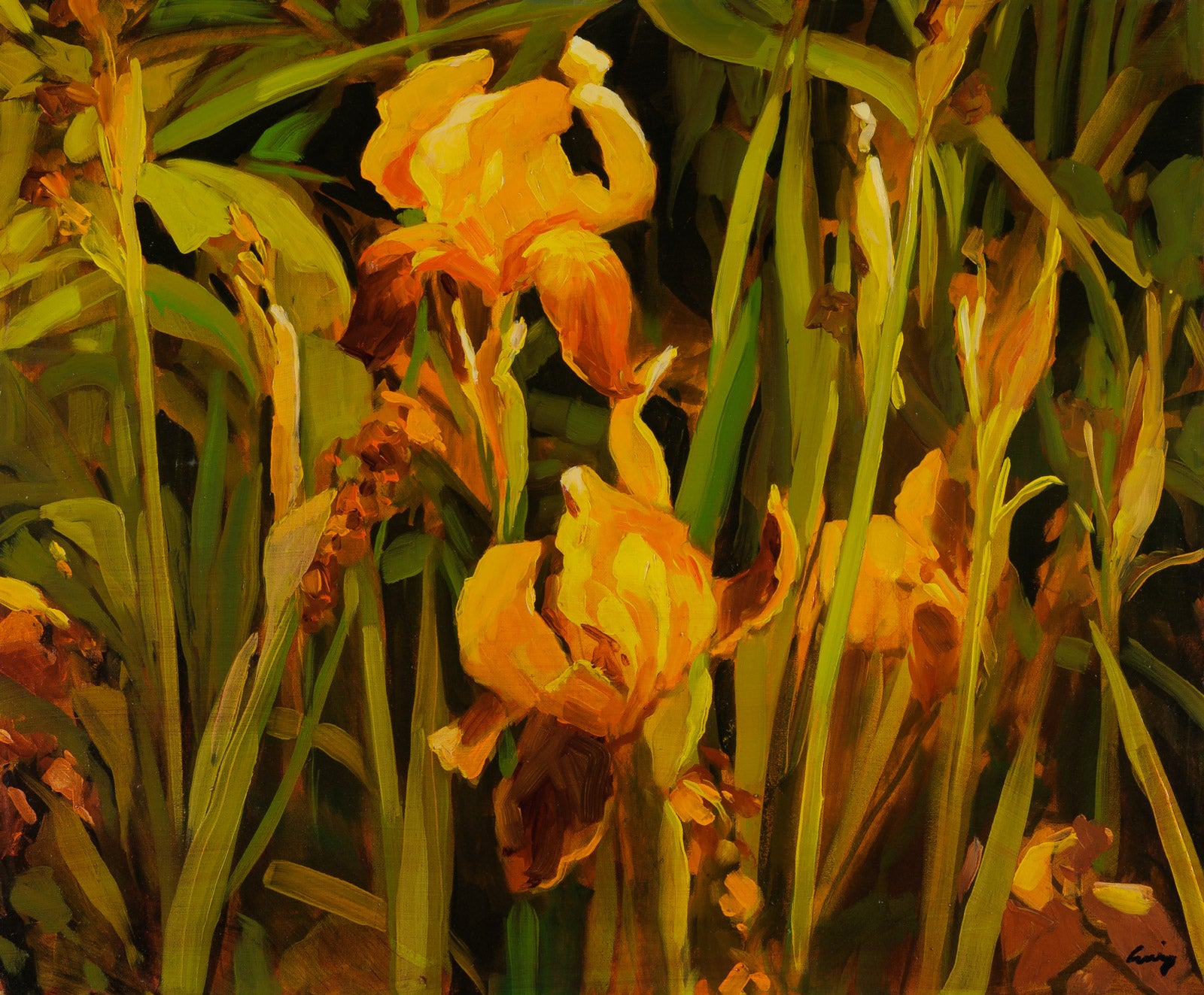 Yellow Irises