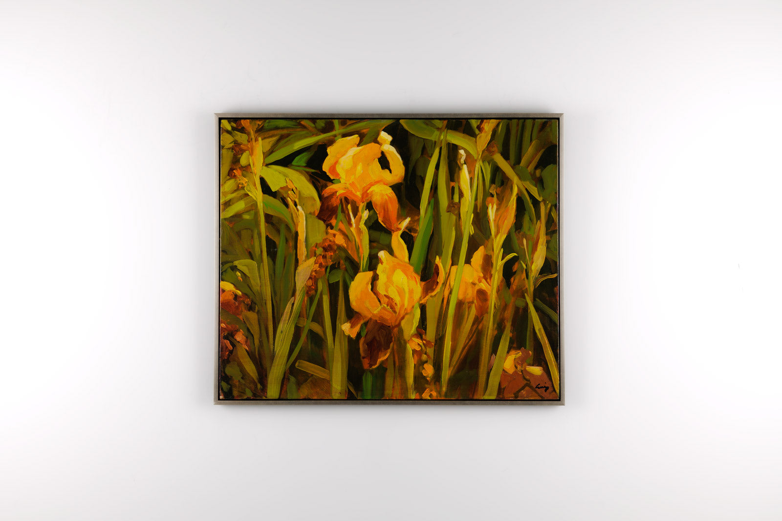Yellow Irises