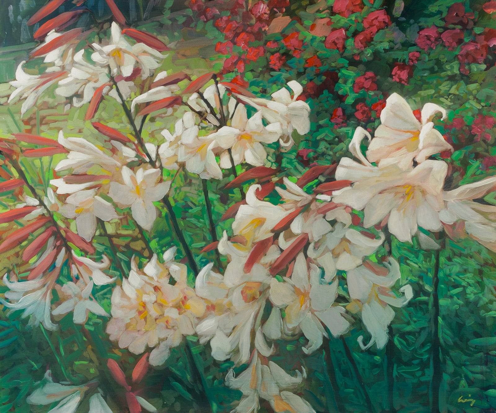 Lily Riot