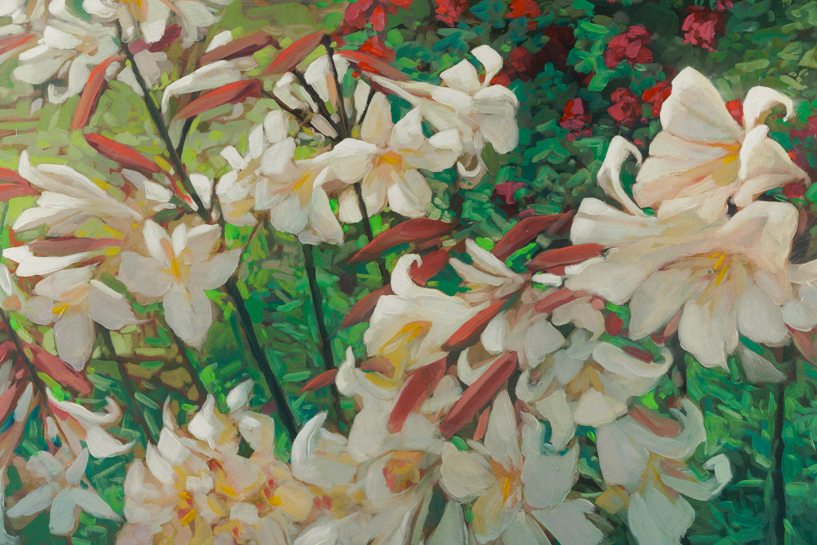 Lily Riot