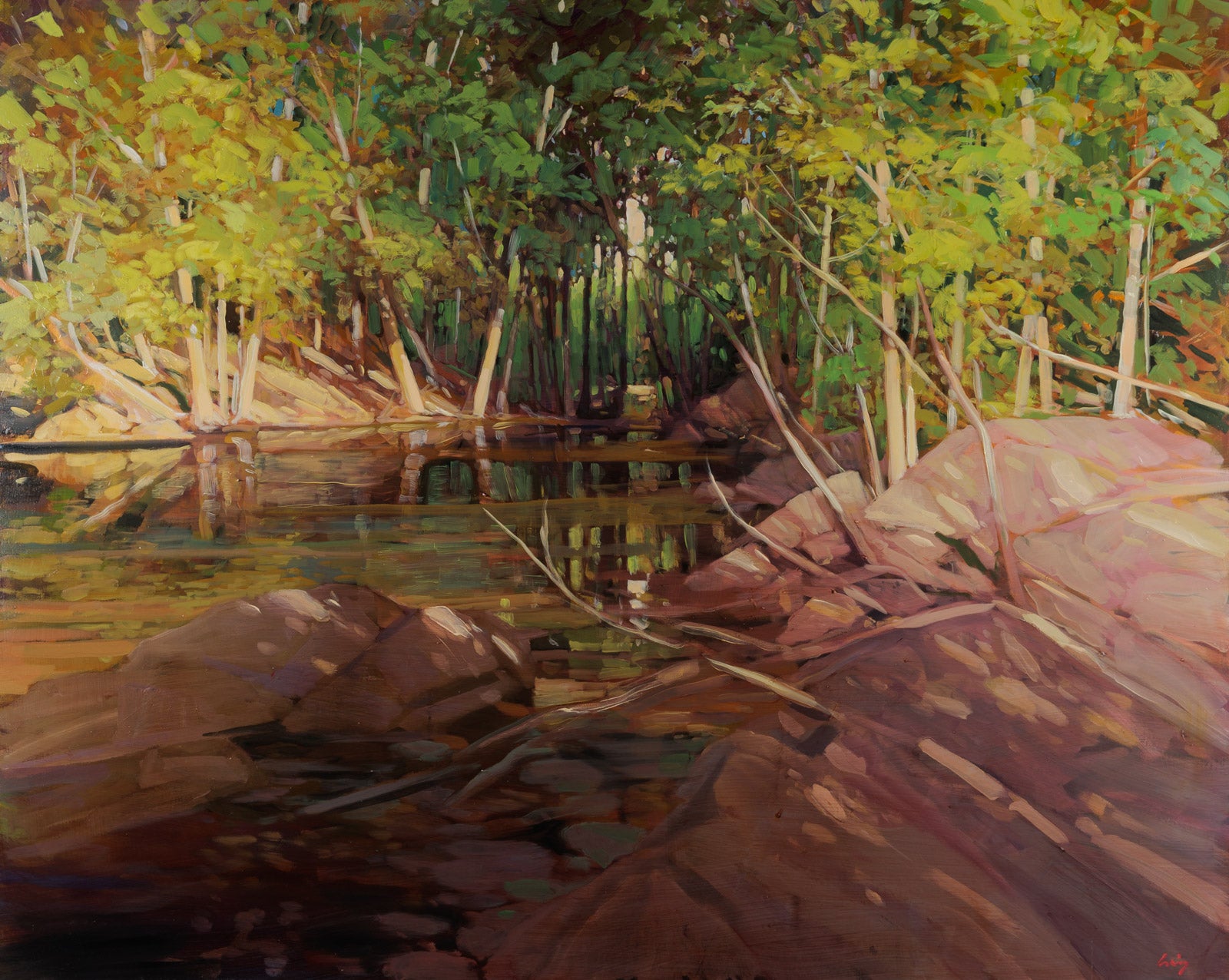 Otter Lake Forest