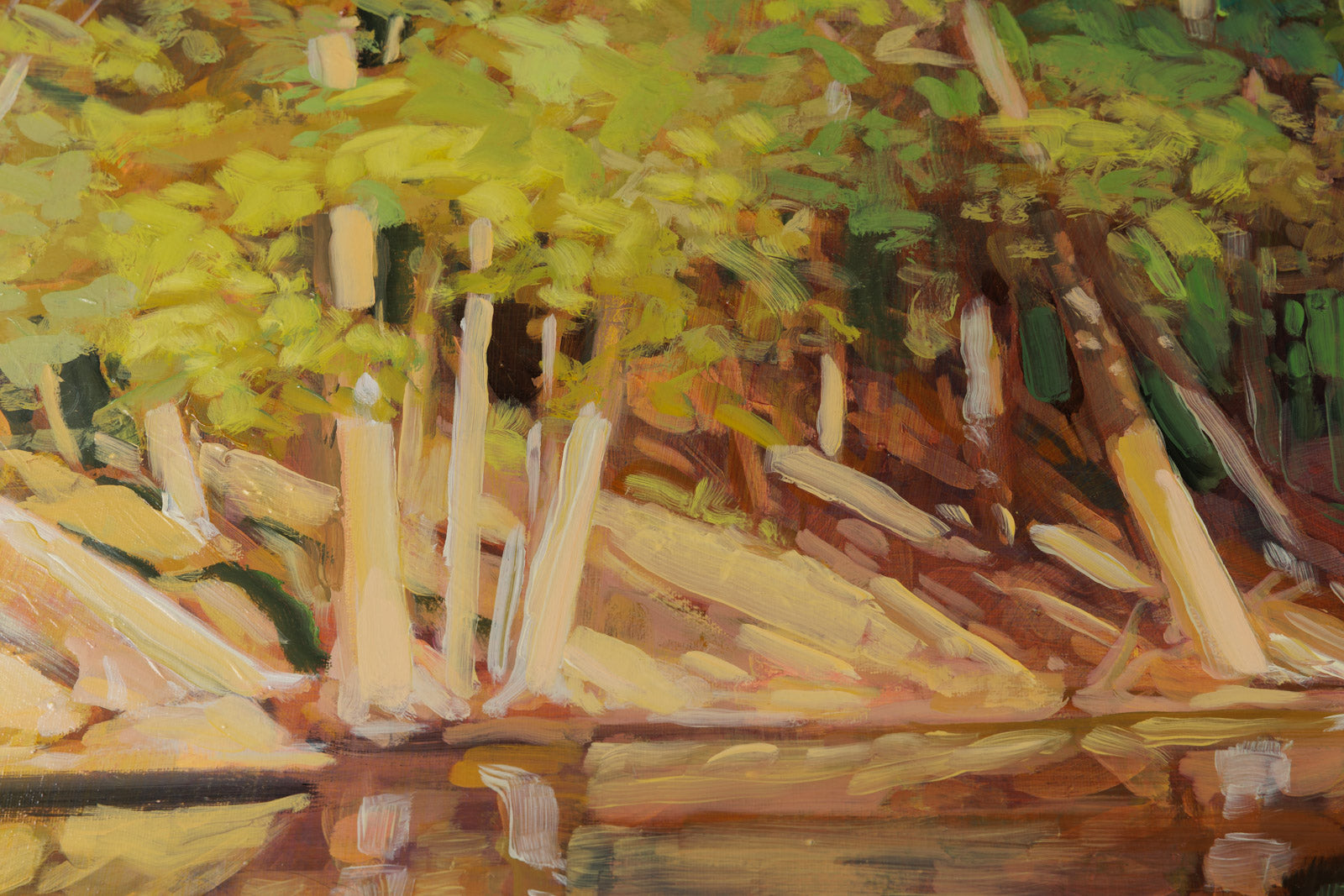 Otter Lake Forest