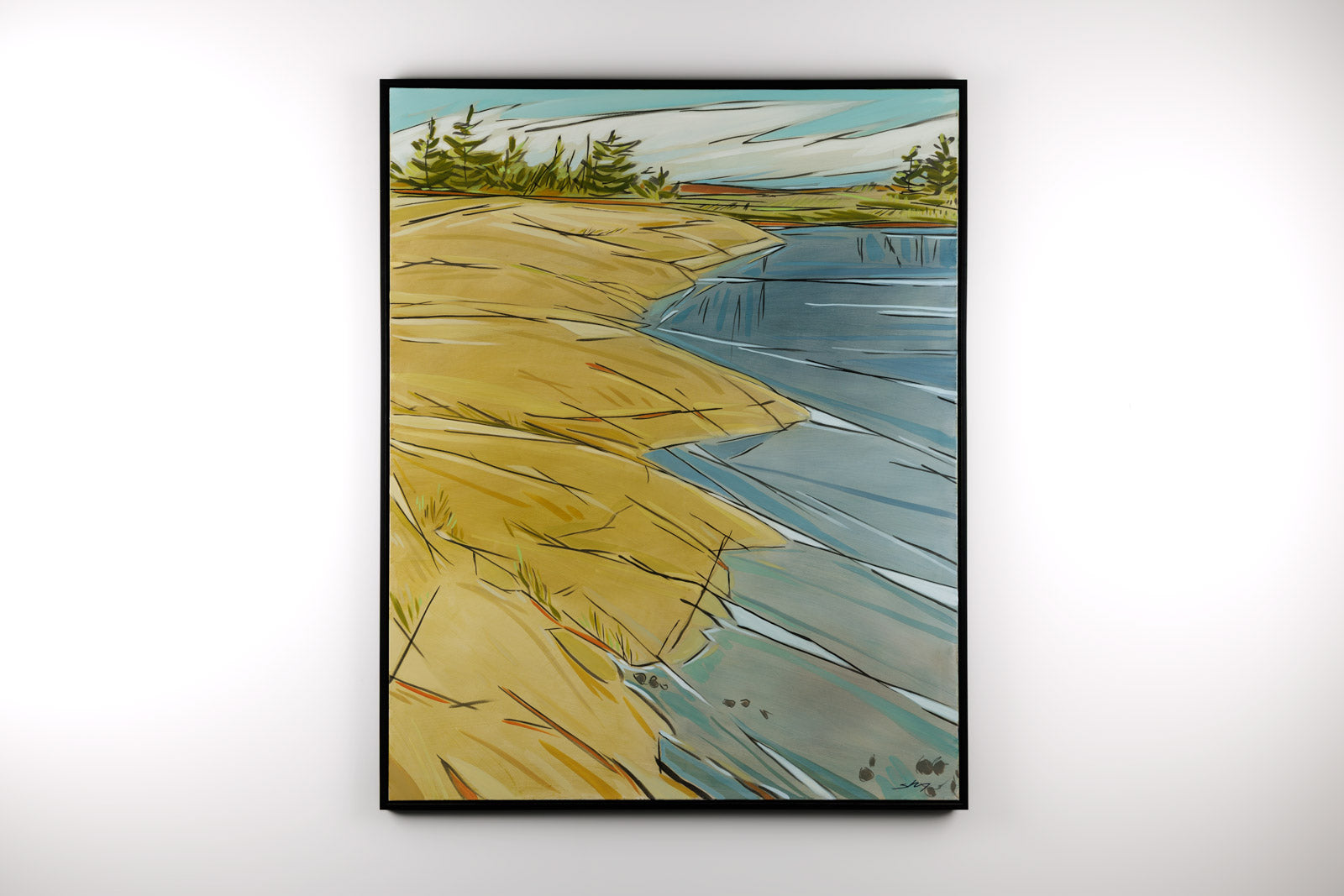 Georgian Bay Rocks