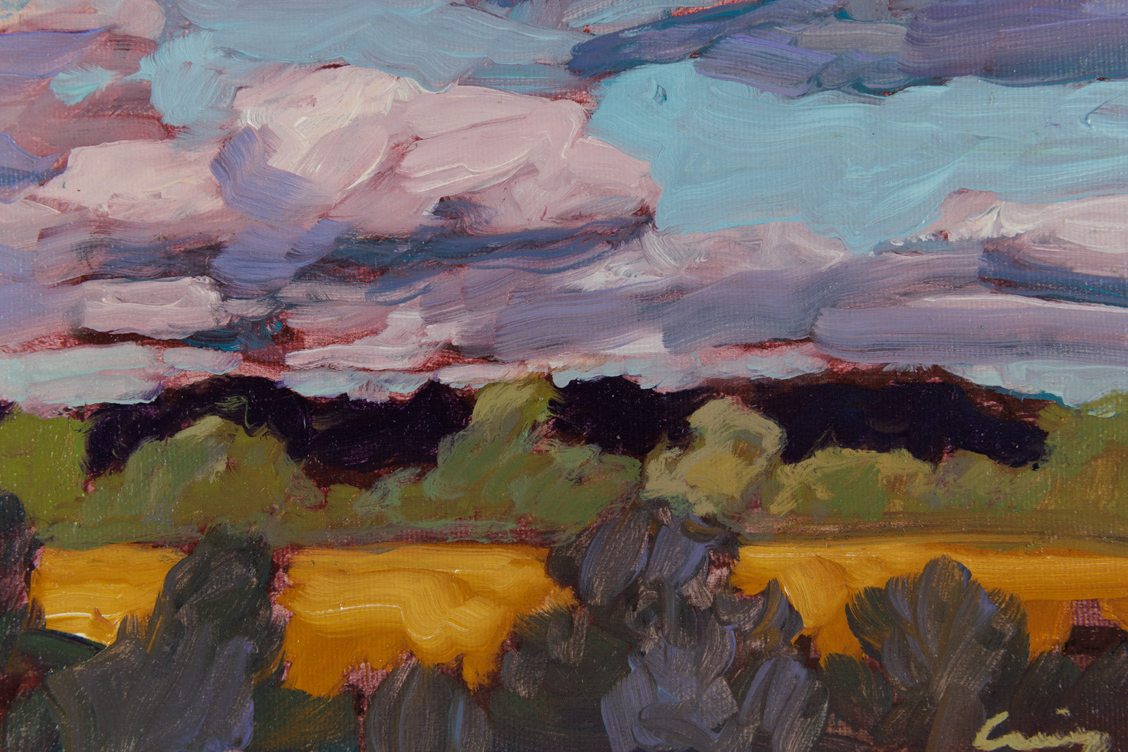 Pink Sky Over Wheat