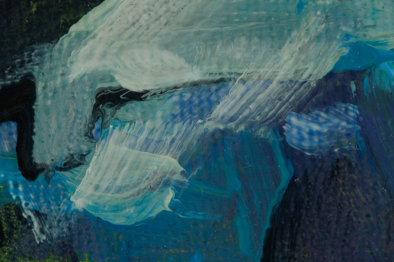 Blue Cove