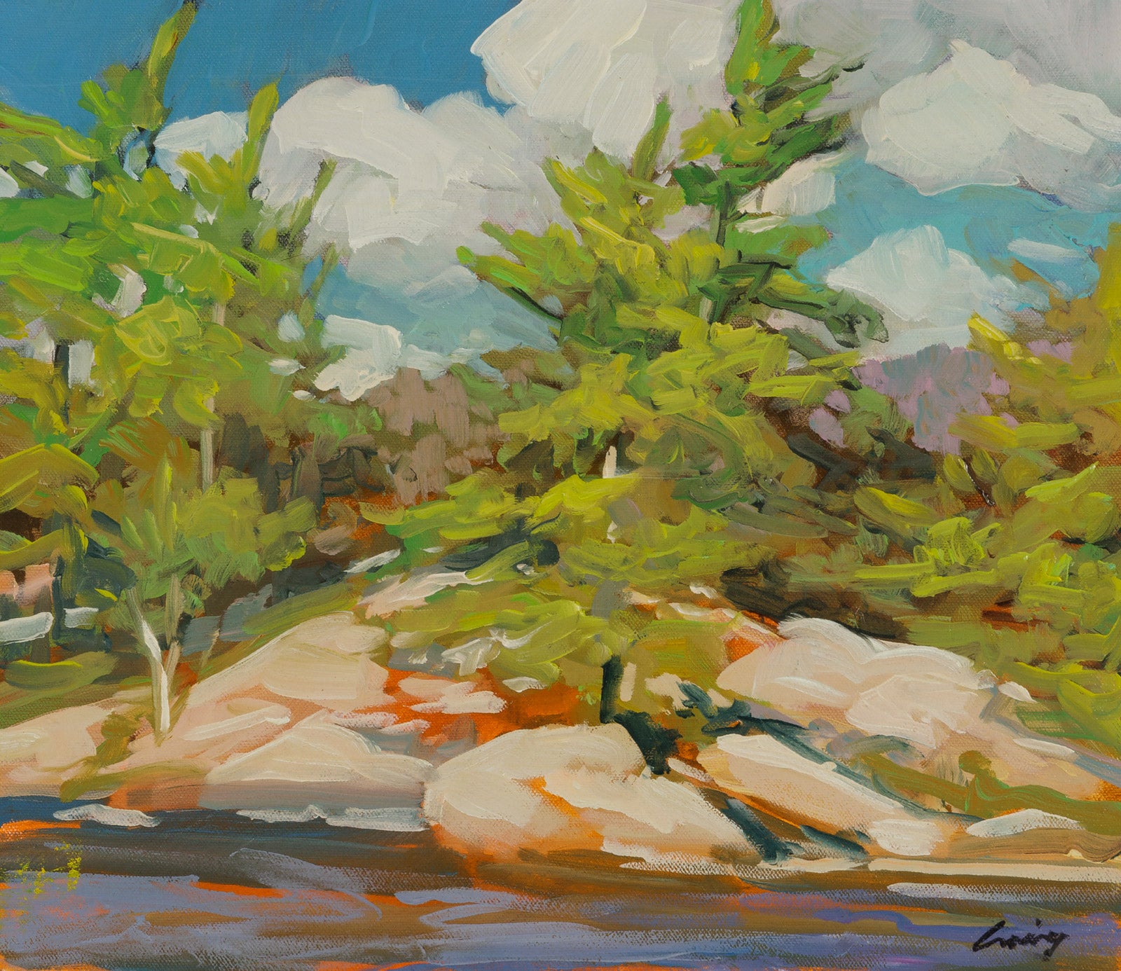 Pines On The Shore