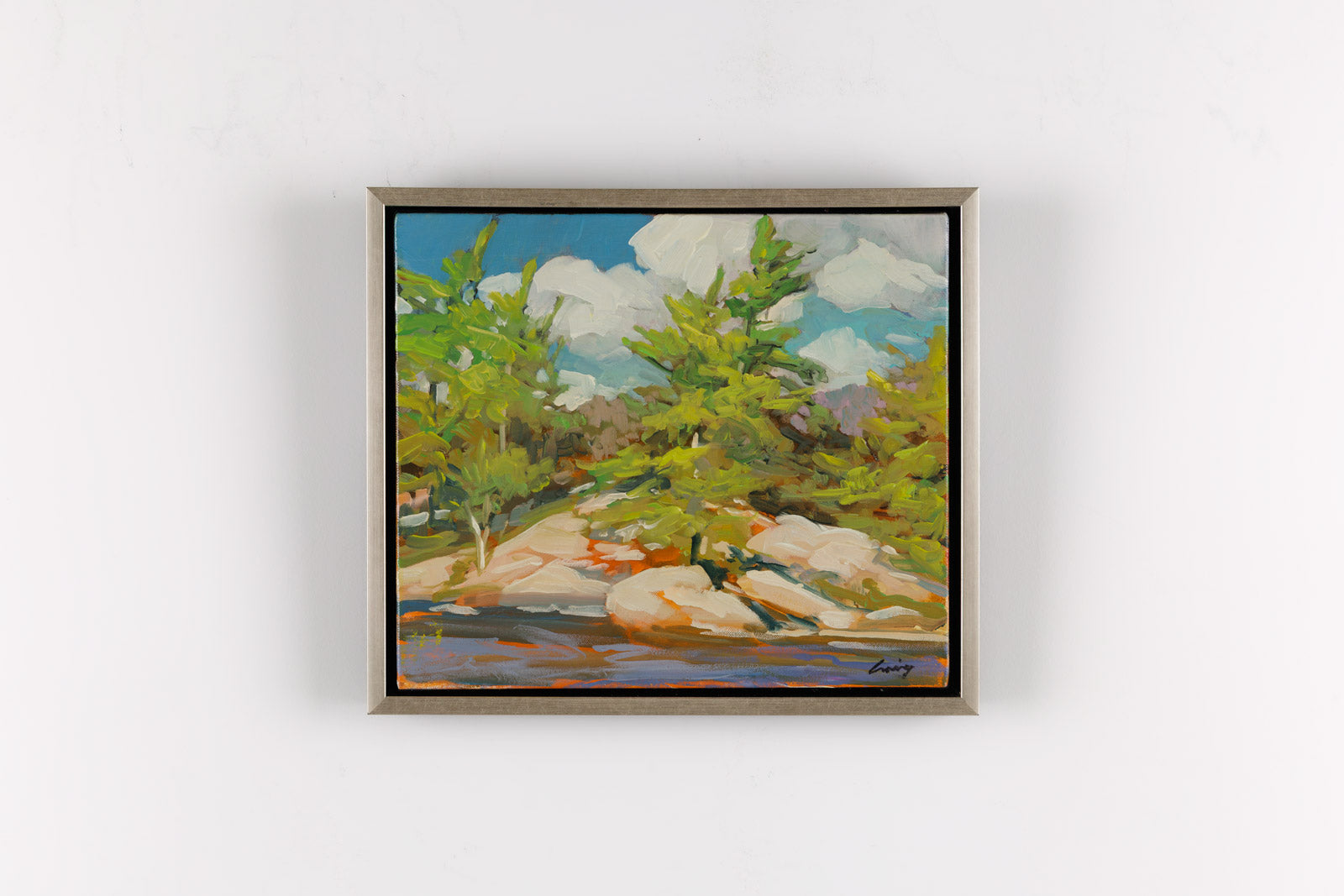 Pines On The Shore