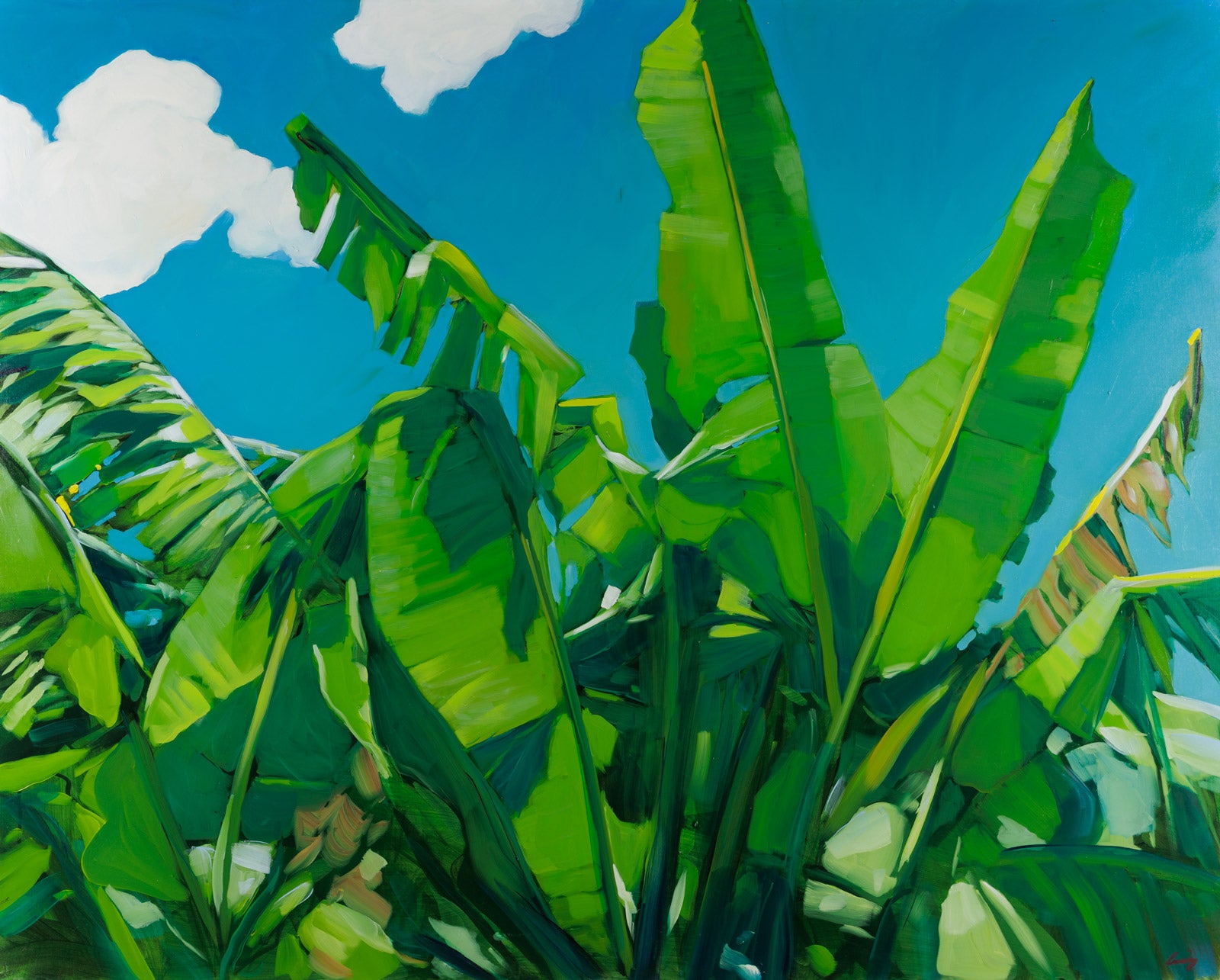 Sunny Palms I
