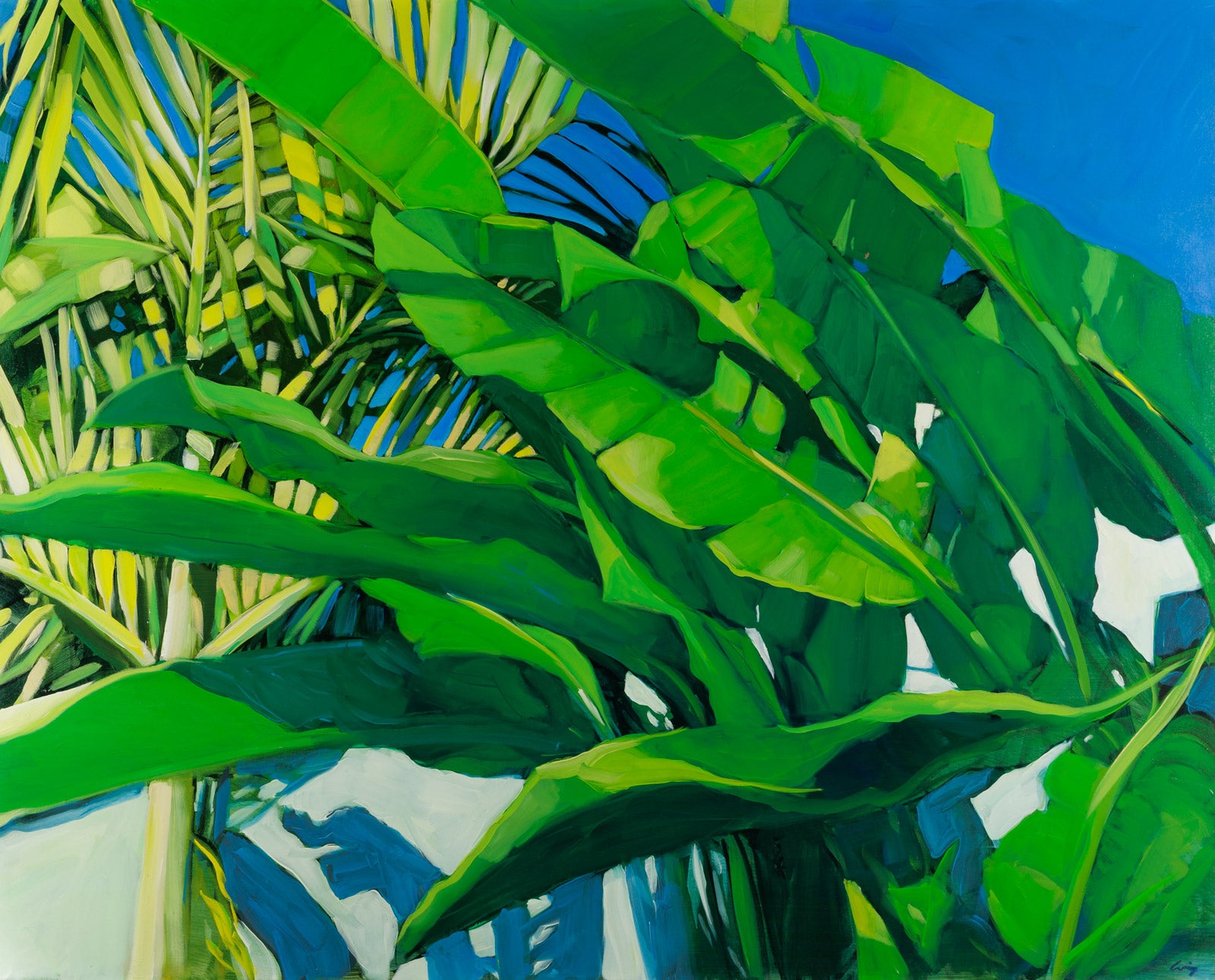 Sunny Palms II