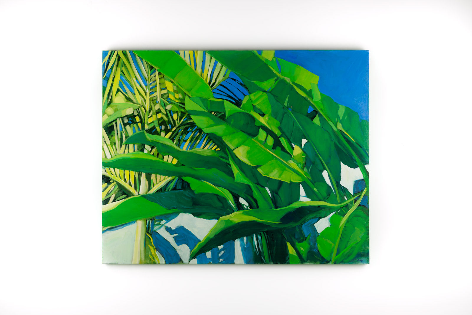 Sunny Palms II