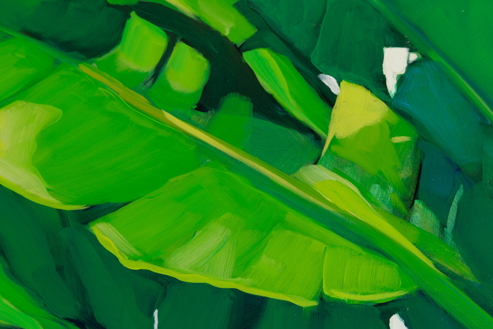 Sunny Palms II
