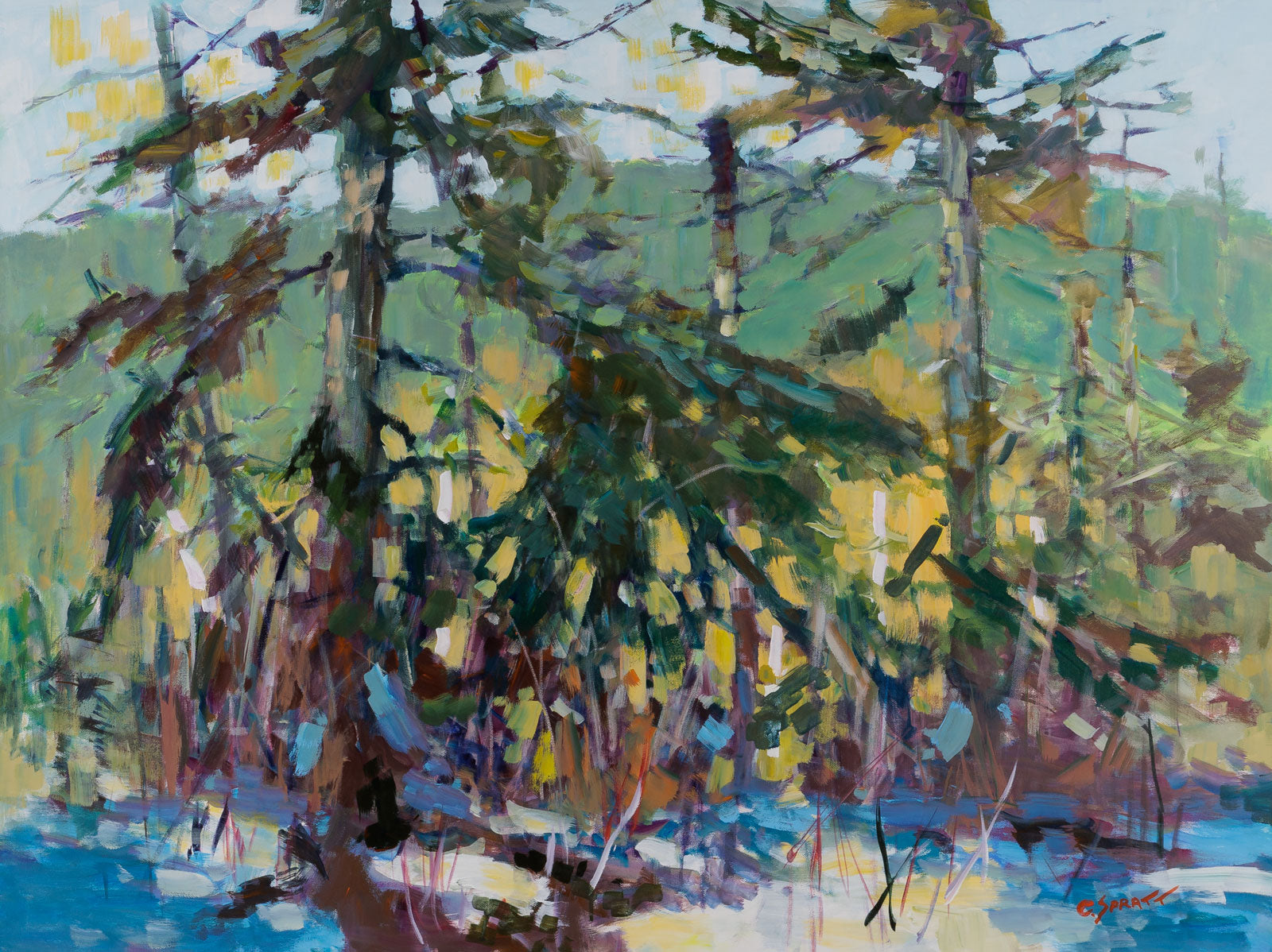 Opeongo Patchwork