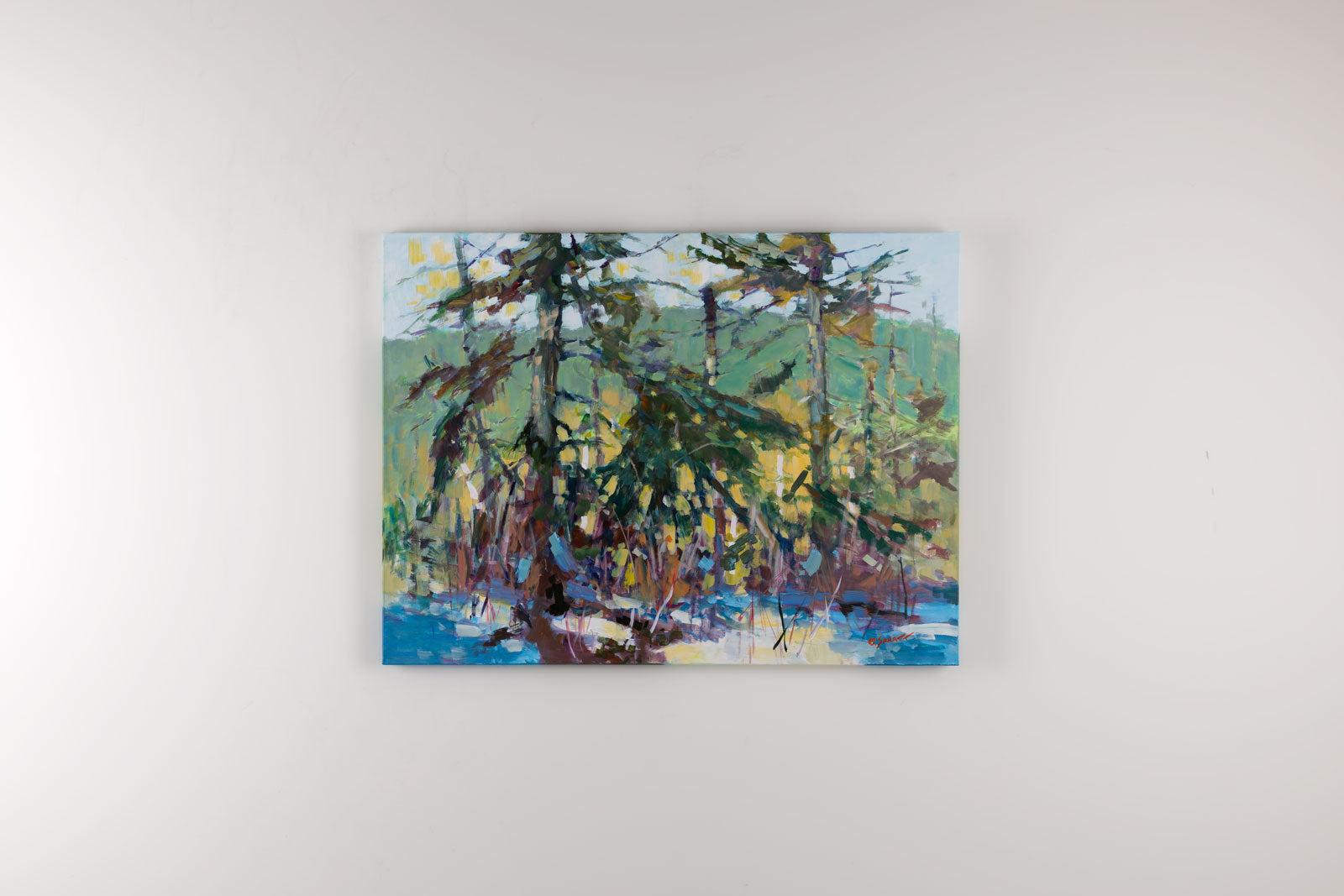 Opeongo Patchwork
