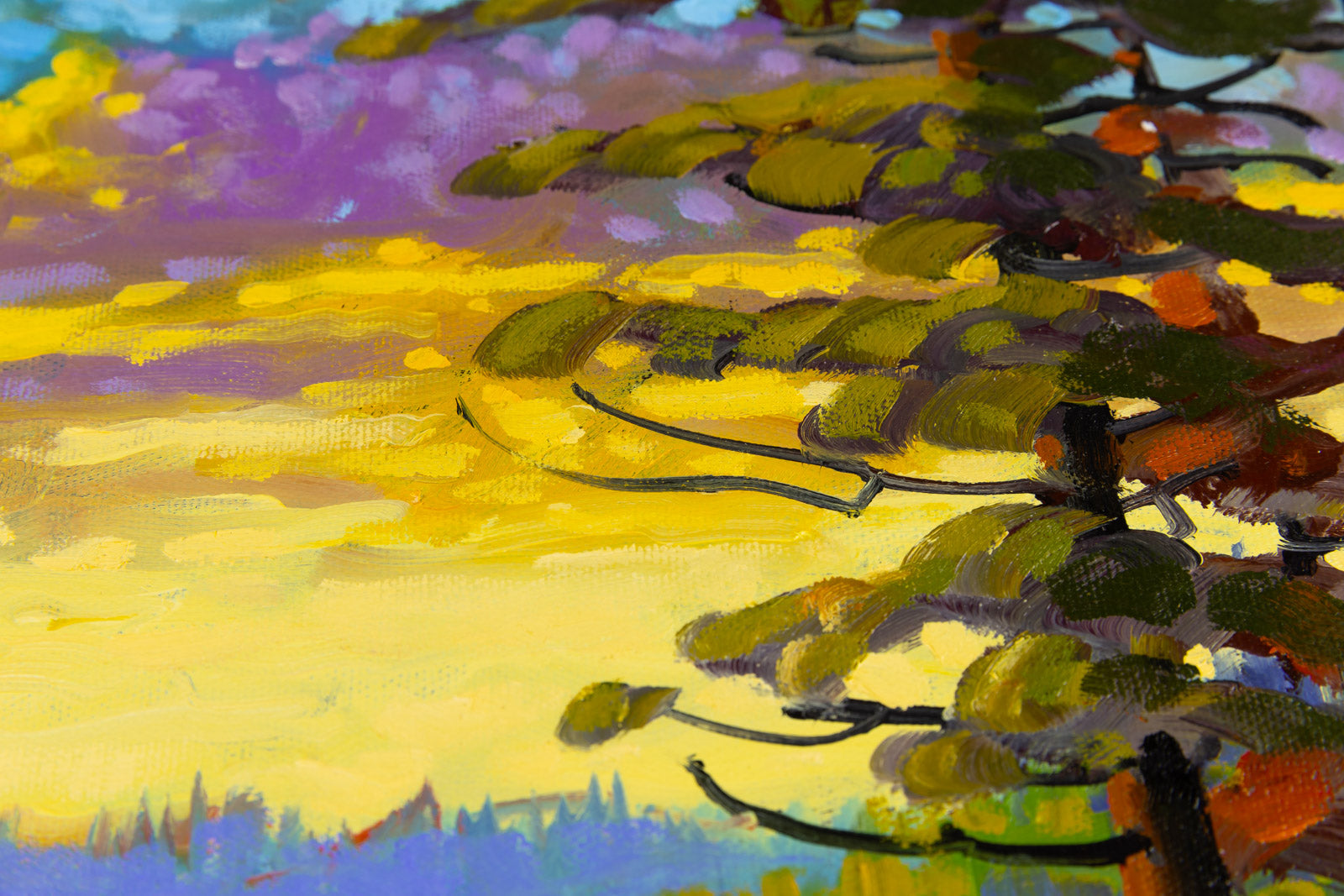 Northern Sunset, True North