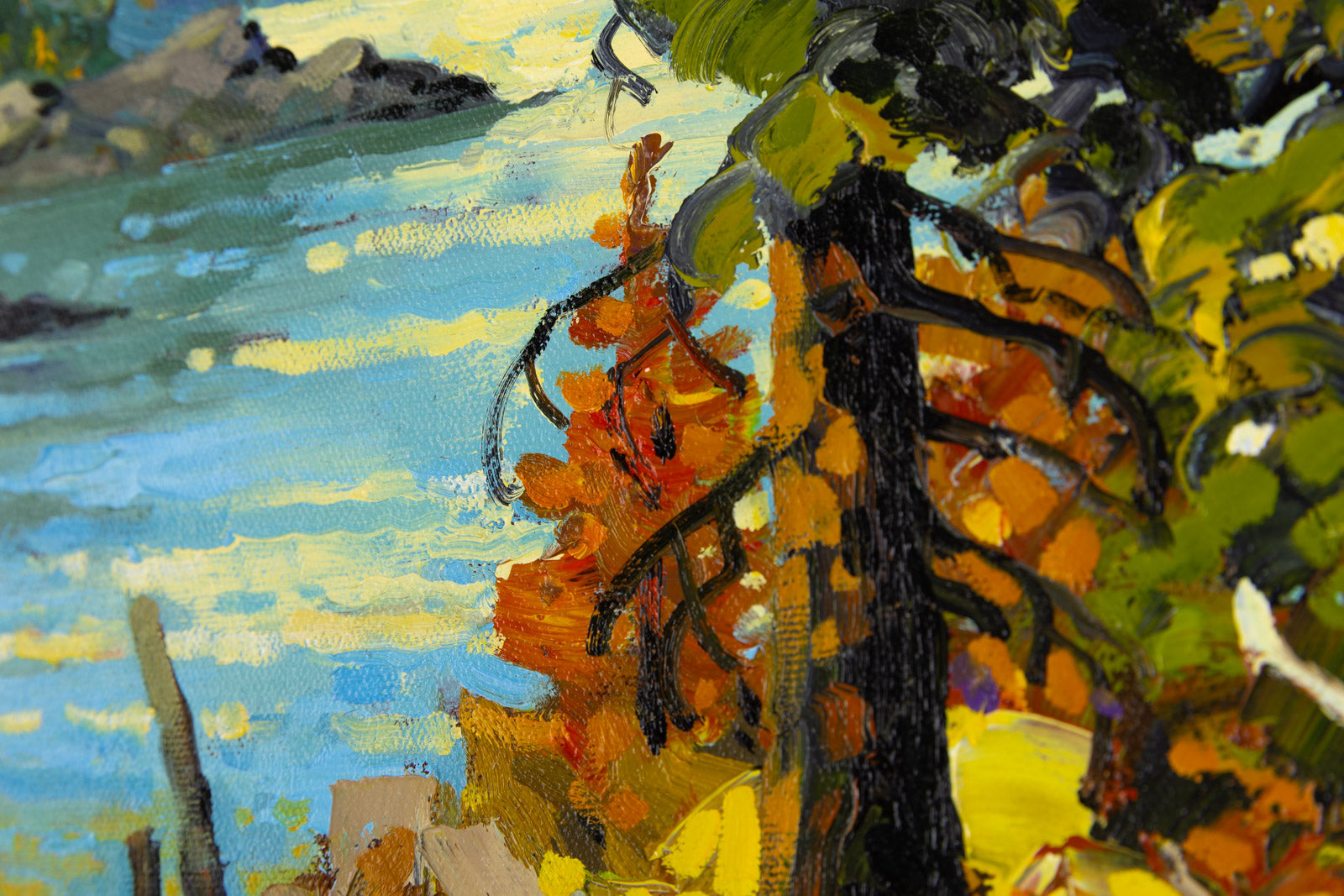 Late September Colour