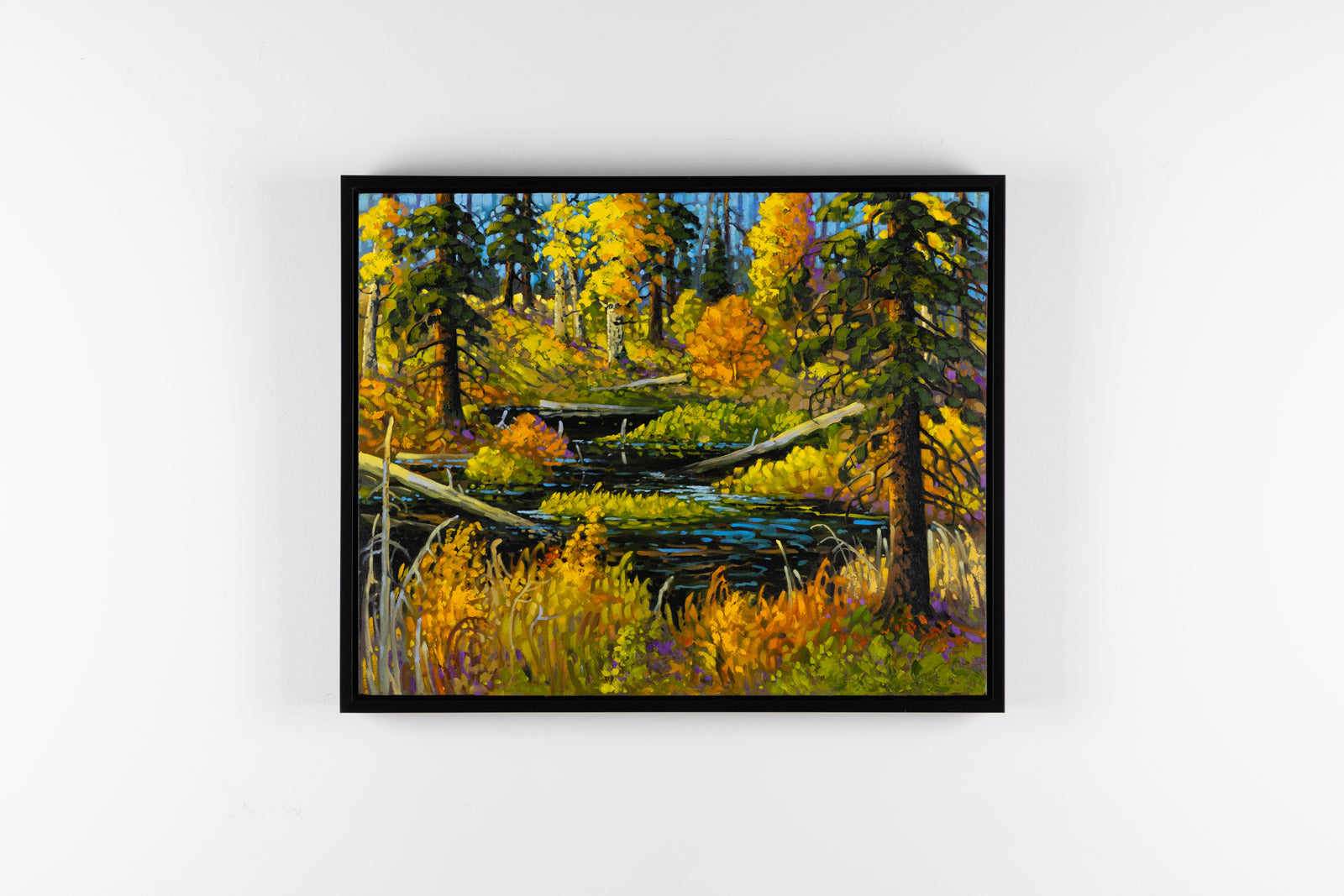 Forest Pond, Autumn