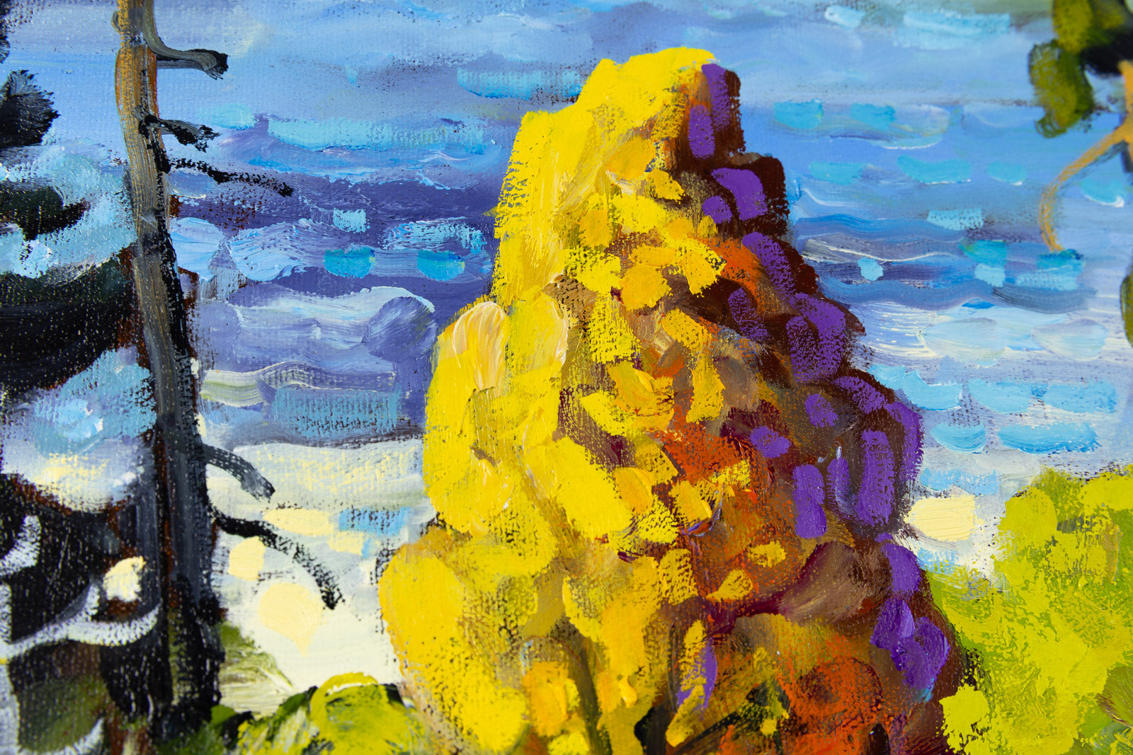 Autumn Light, Algonquin