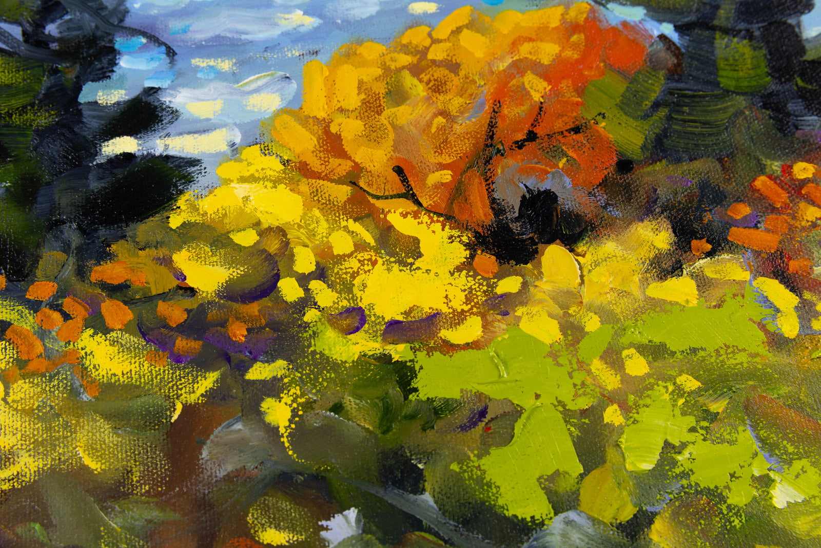 Autumn Light, Algonquin