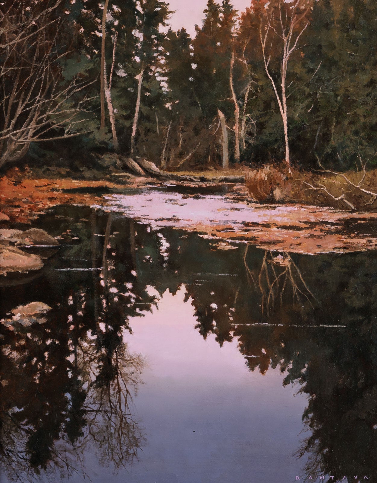 Evening Serenity