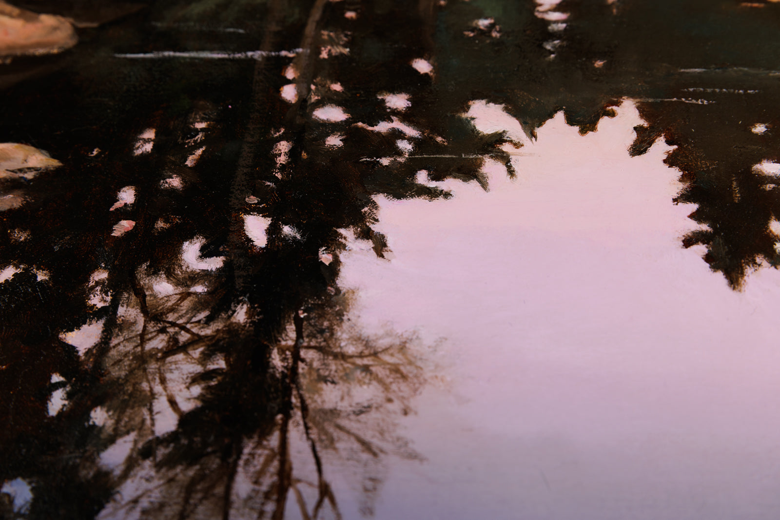 Evening Serenity