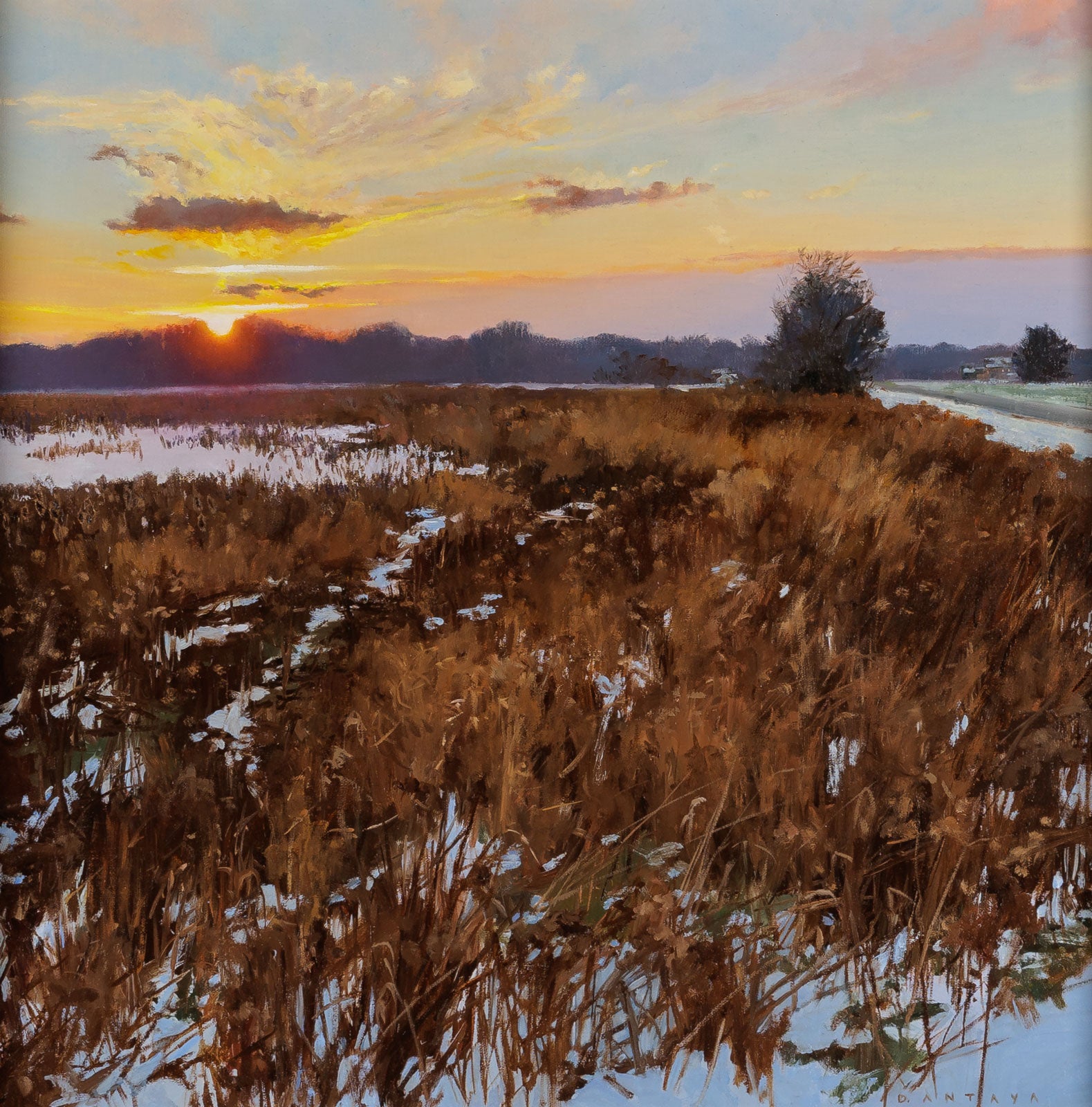 Beauty At Dusk