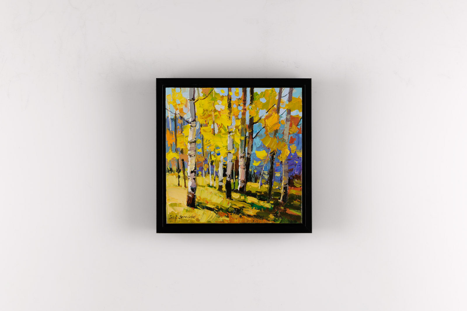 Afternoon In The Forest